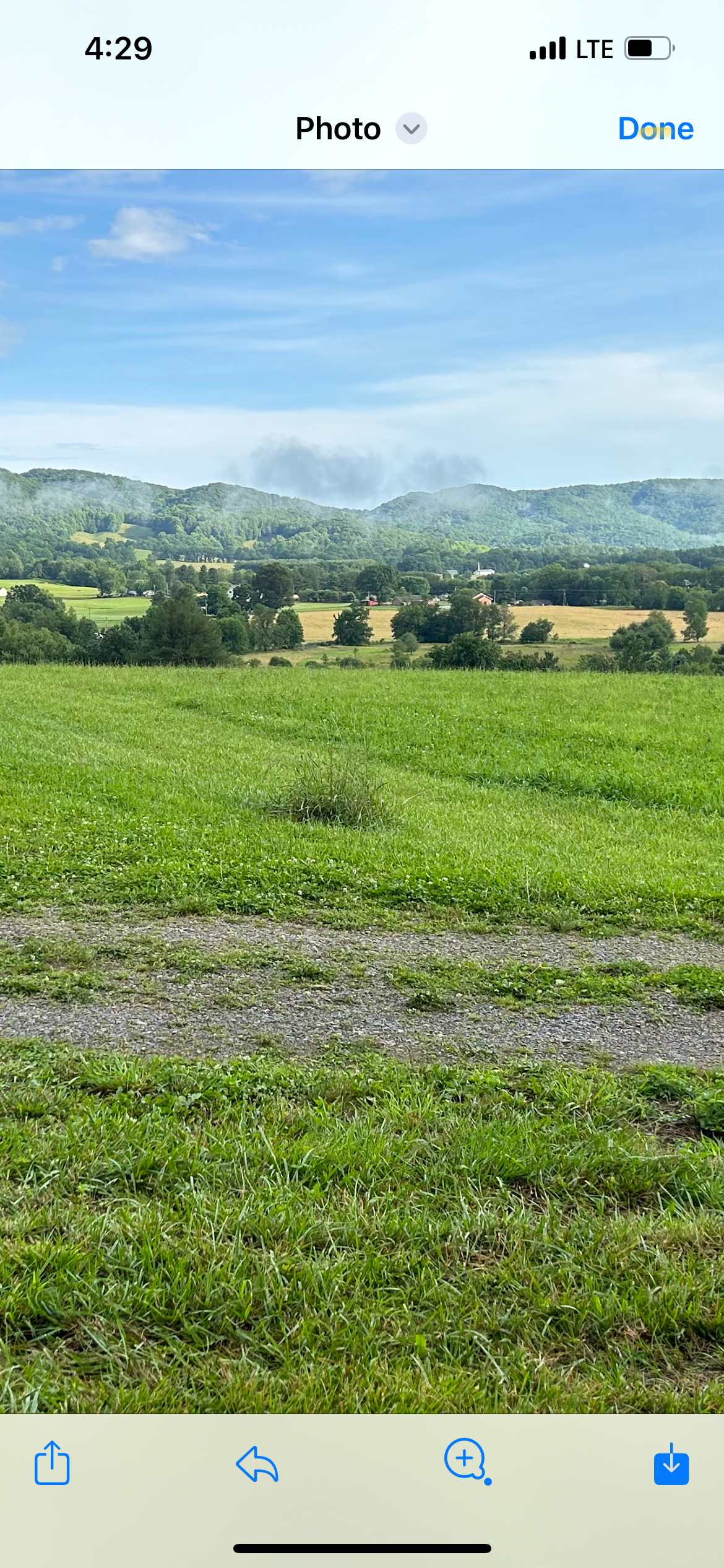 Picture of the site
