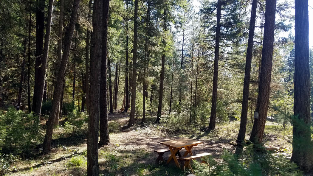 Picture of the site