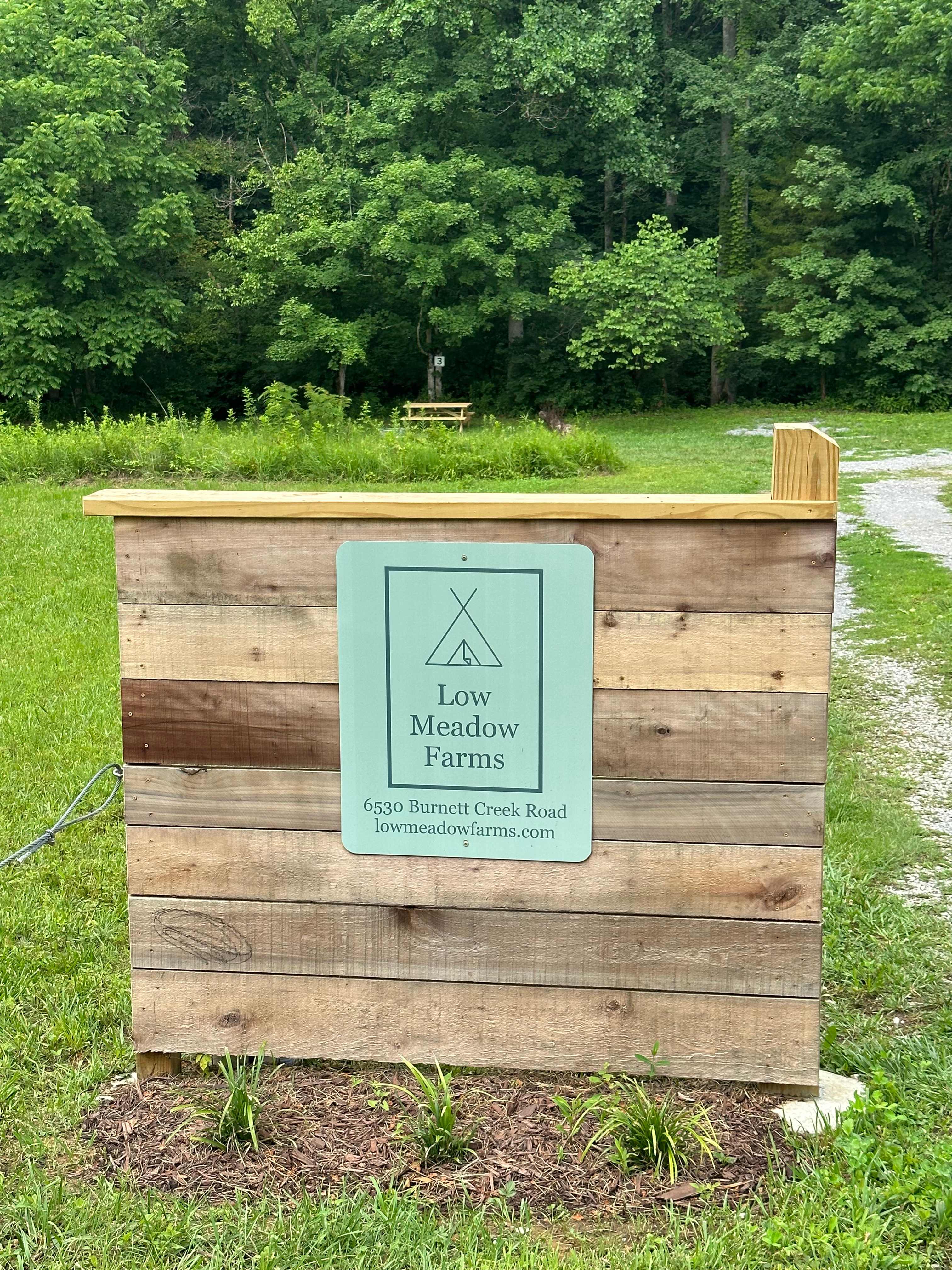 Picture of the site