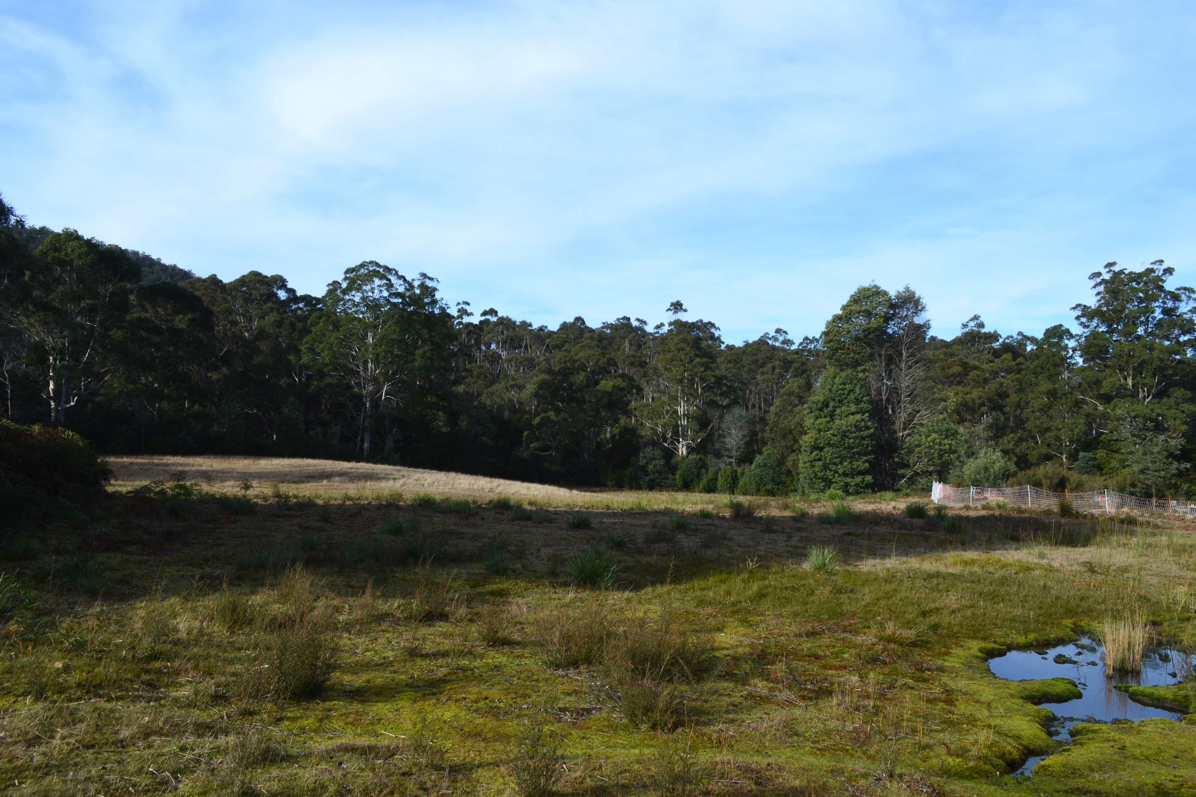 Badgers Flats