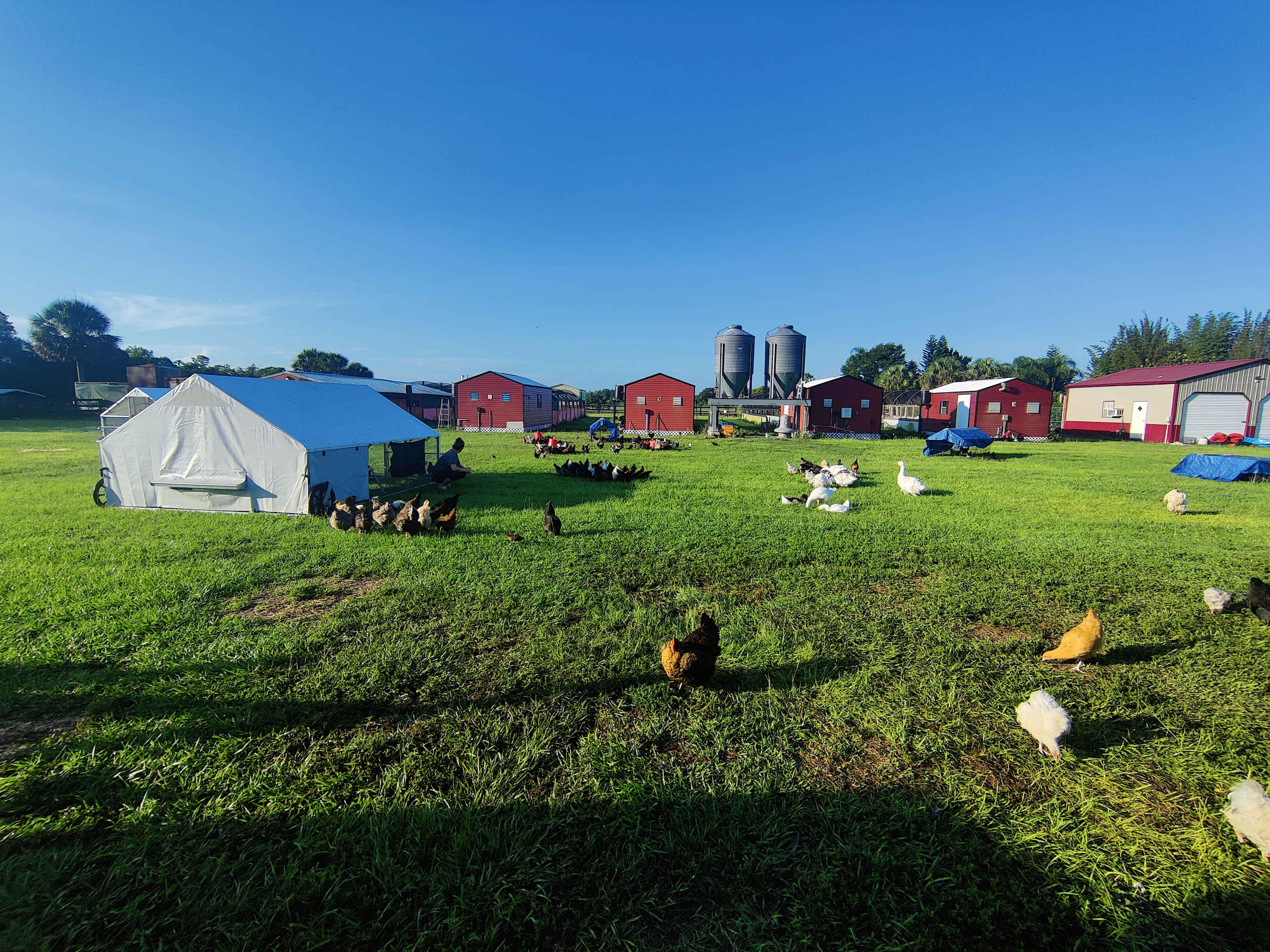 FireFly Farm