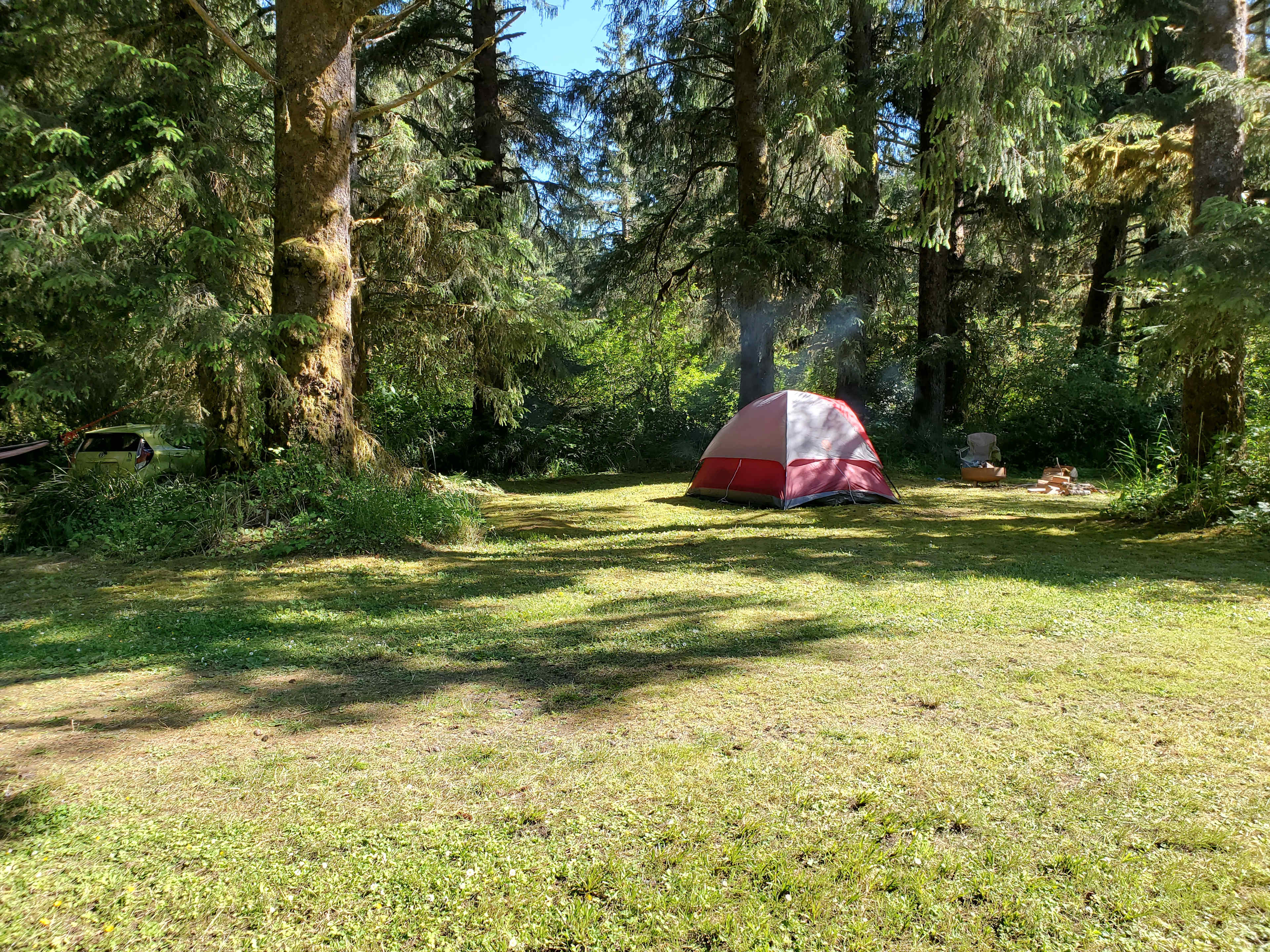 Picture of the site