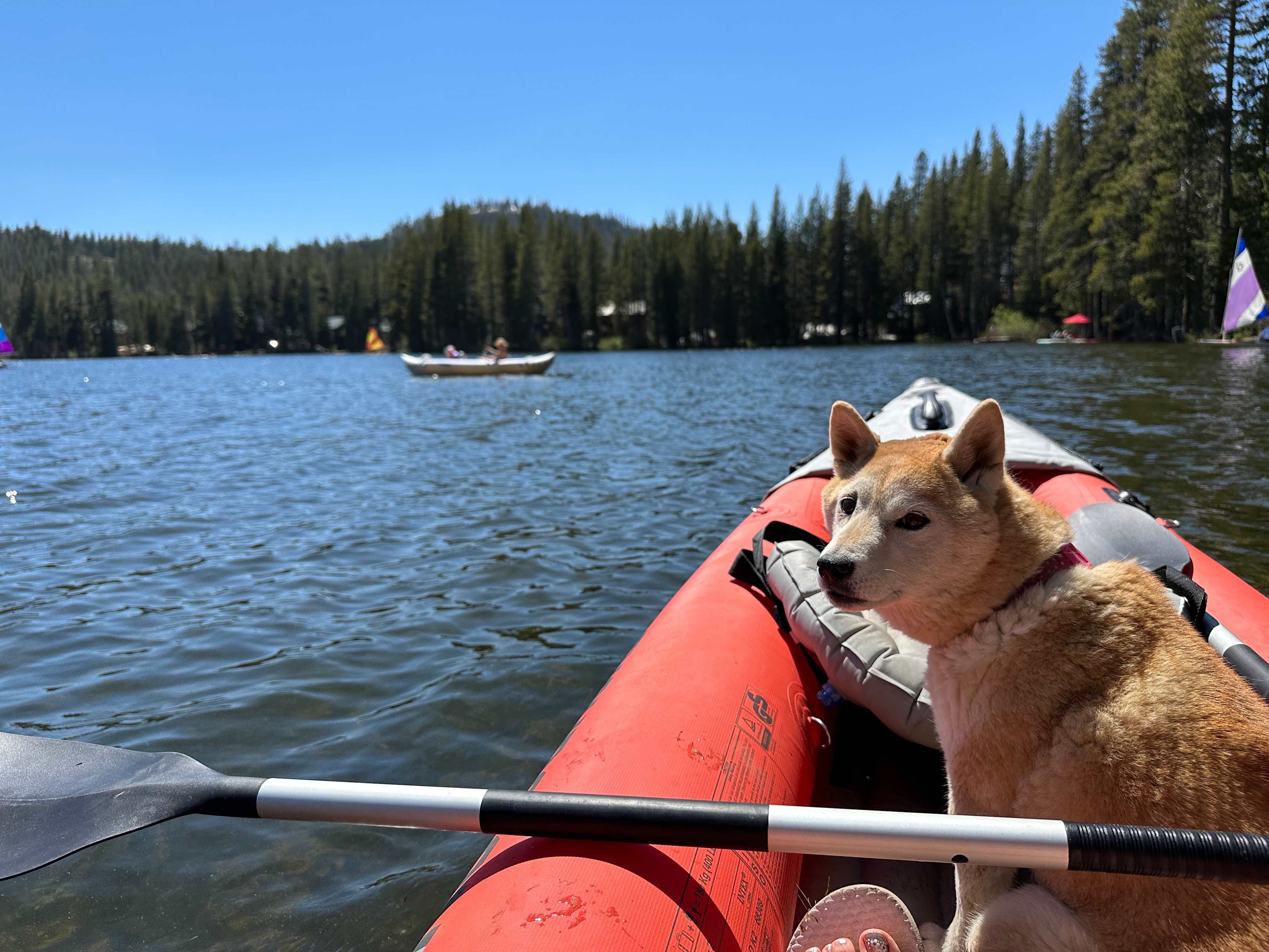 Bright Bear Camp in Tahoe NF