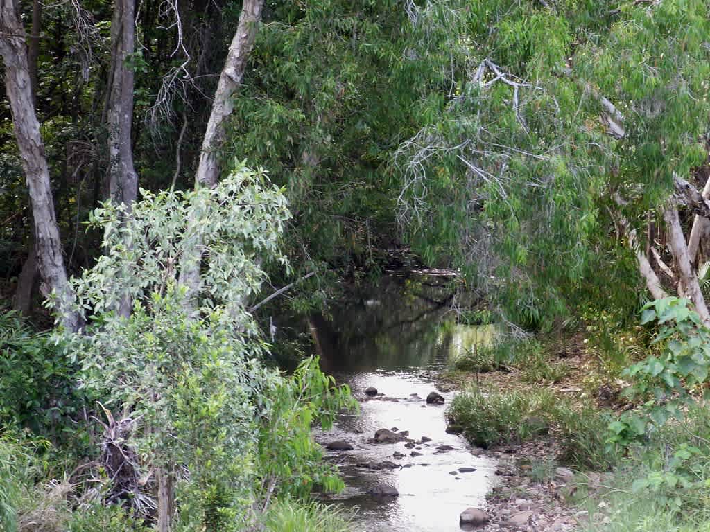 Mount Elliot Park