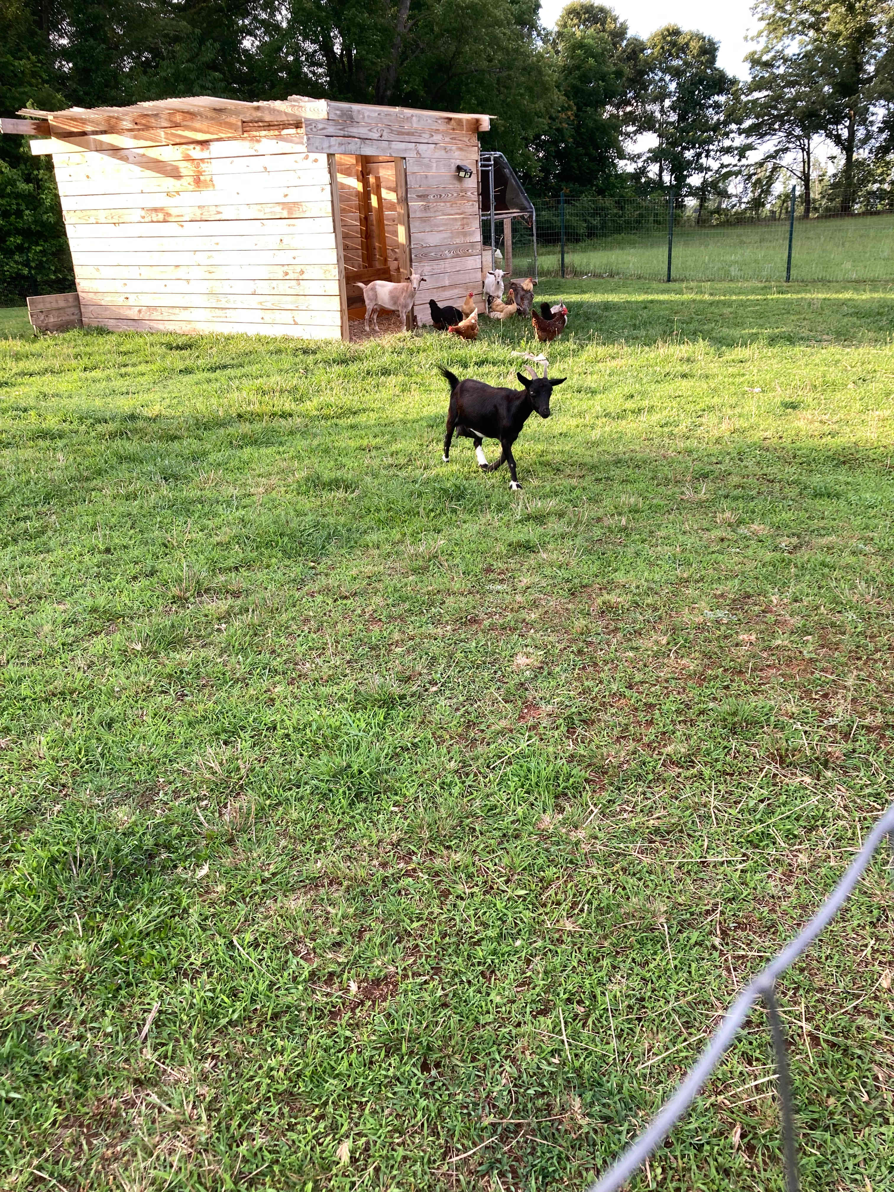 Farm Camp