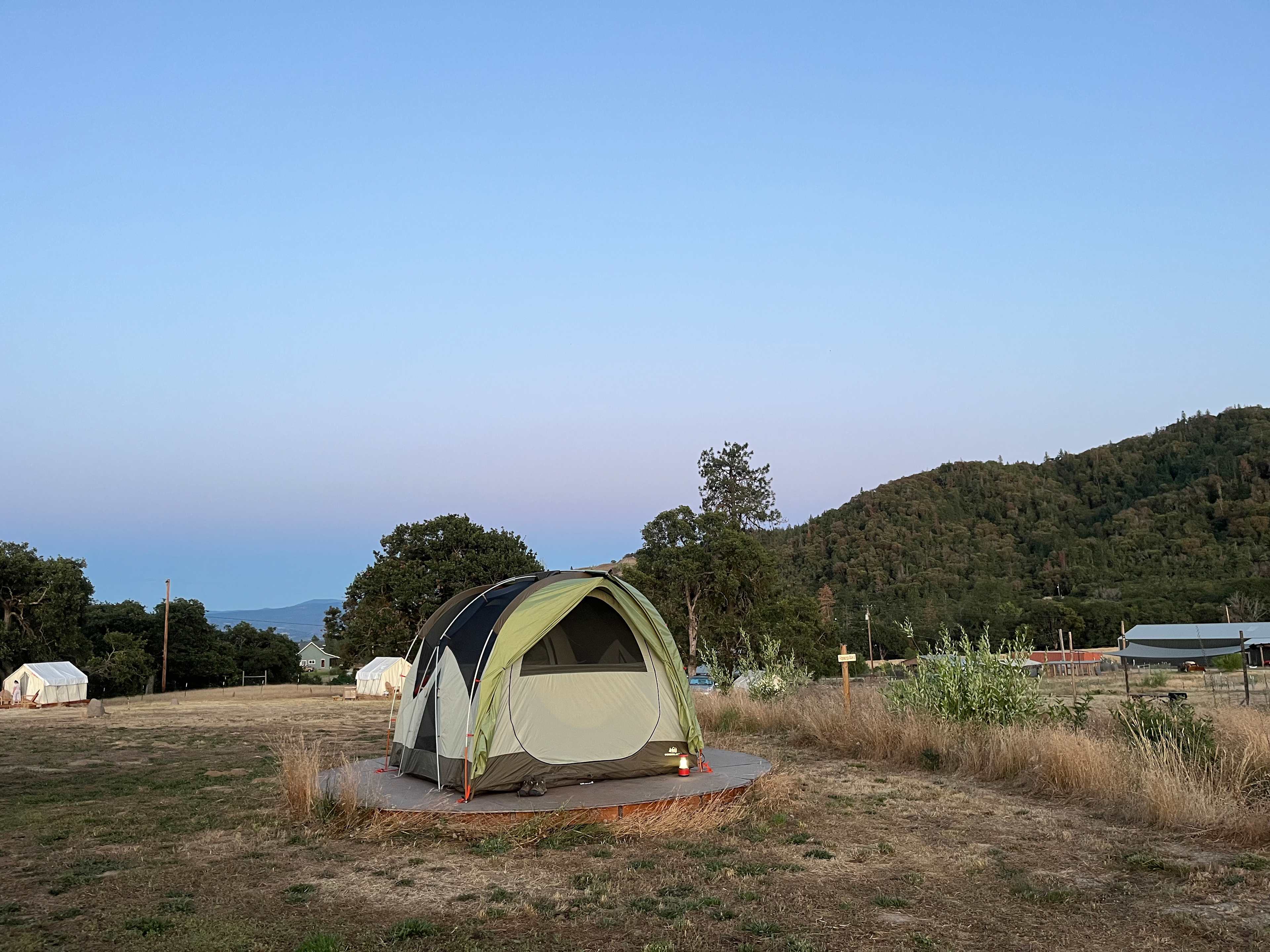 Picture of the site