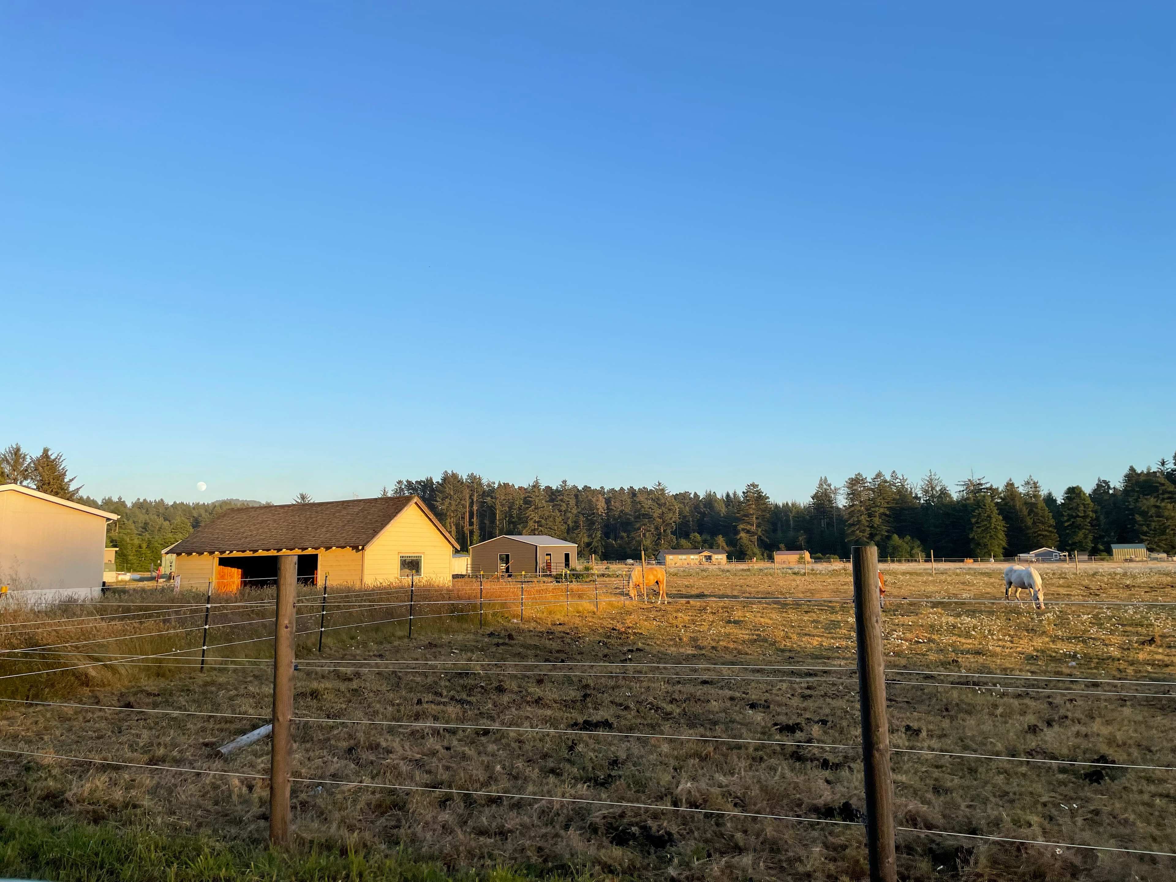 Ossia Village Farm