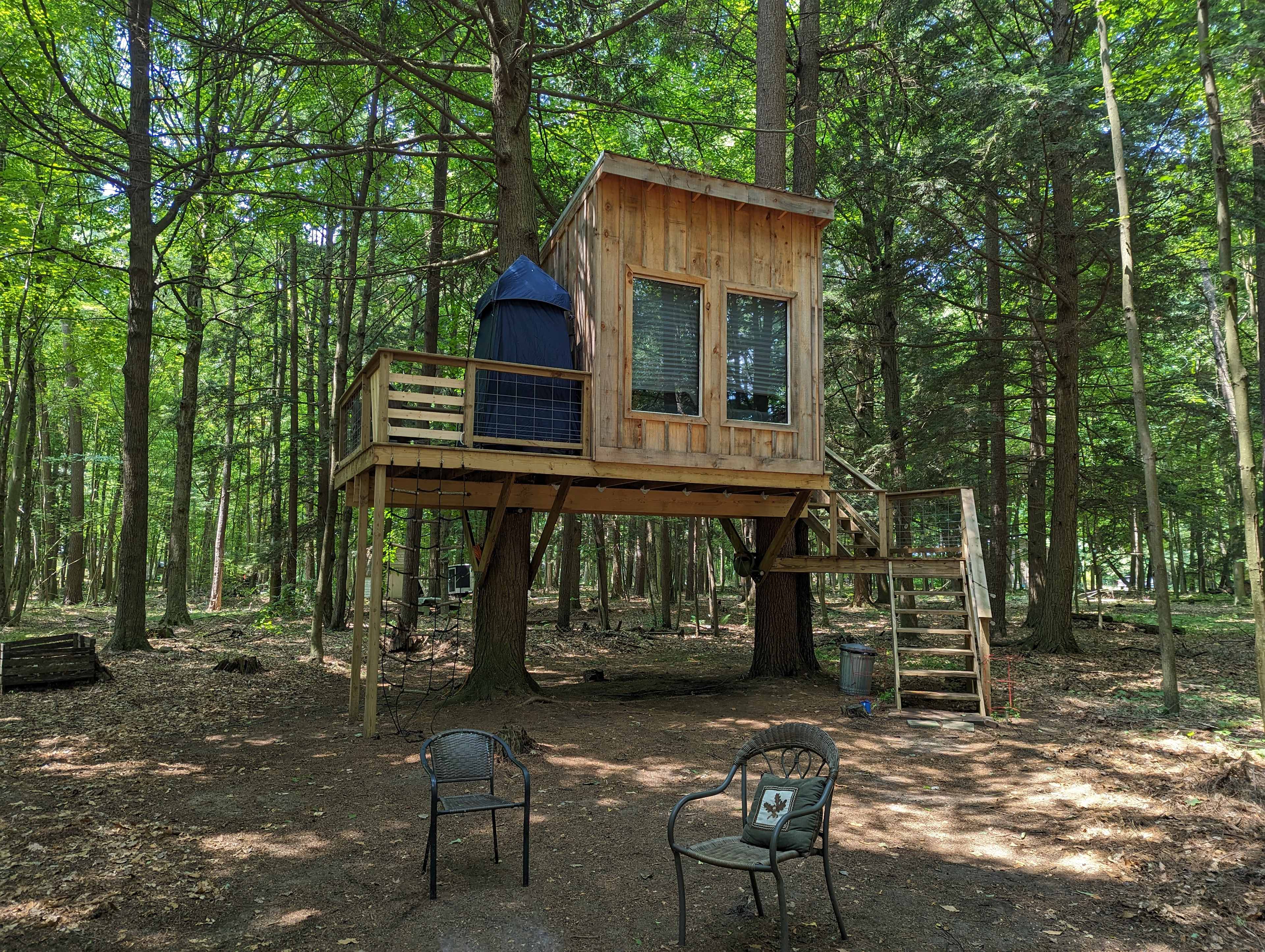 Picture of the site