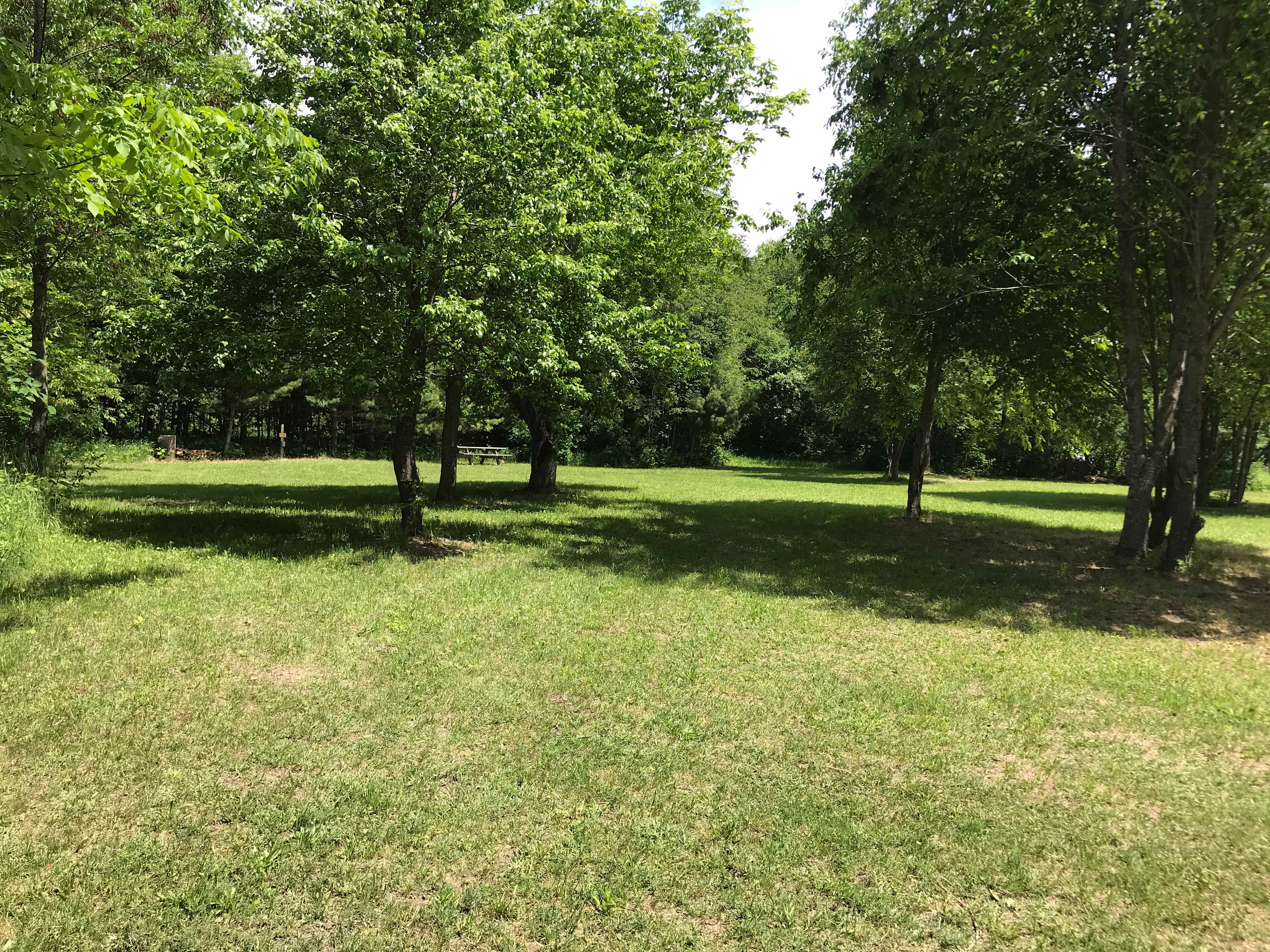 Hidden Meadow