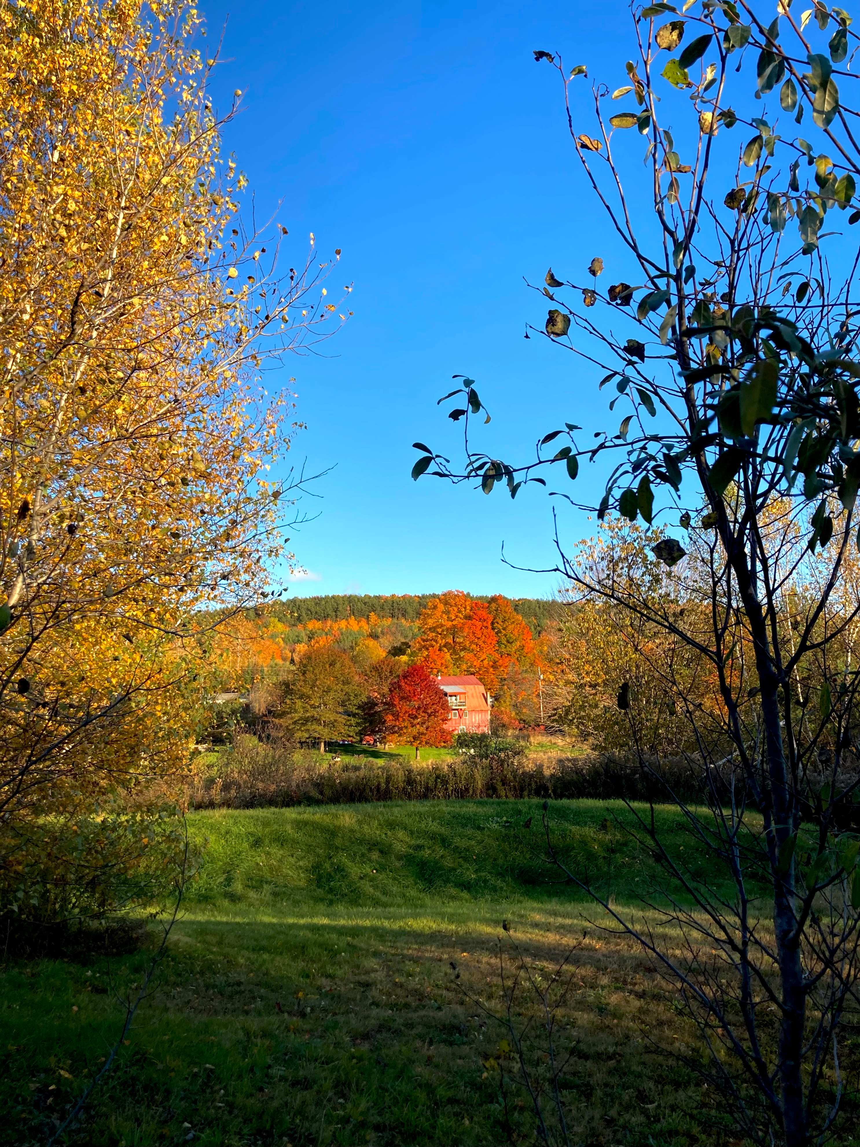 Wild Acres Farm