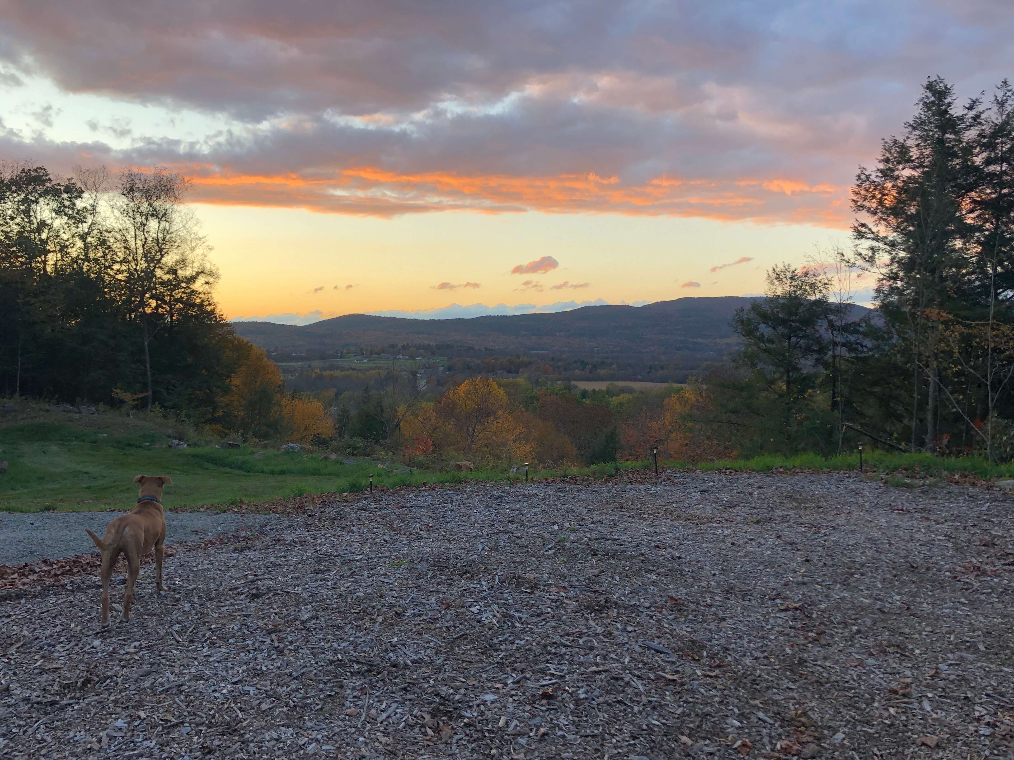 Short 5 min hike from your site to picnic tables overlooking the valley and mountains