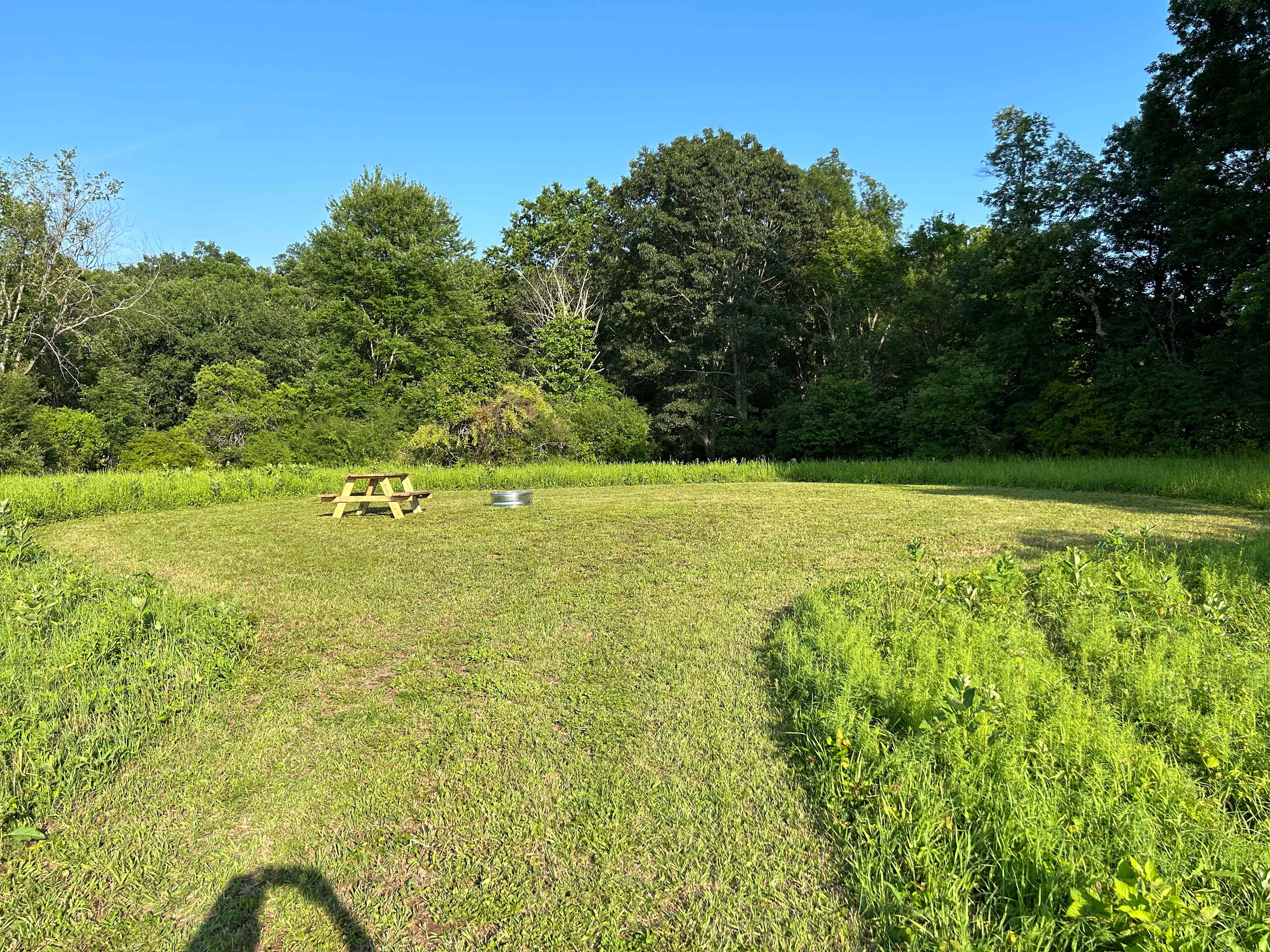 Site 2 with picnic table and fire ring