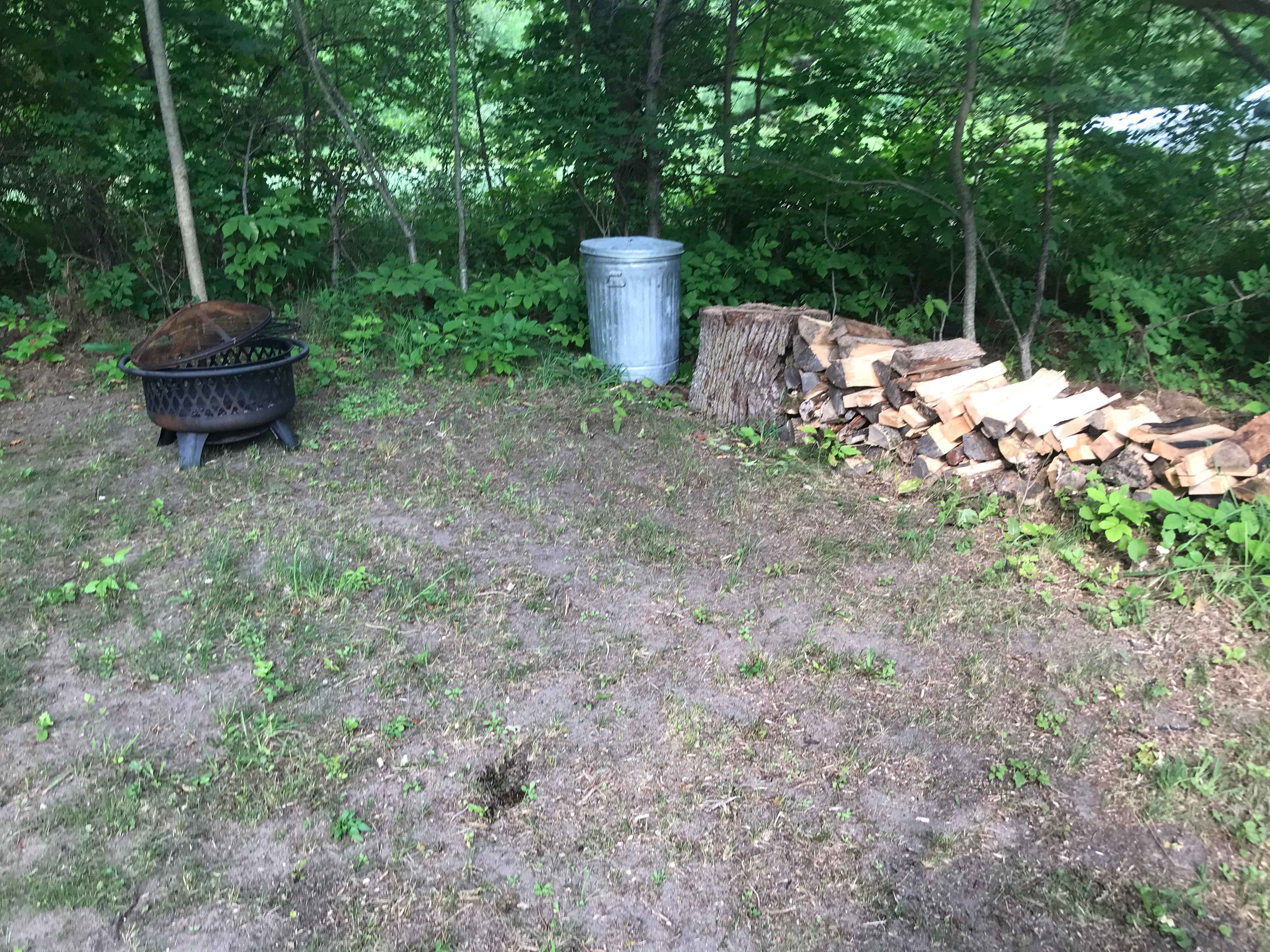 Picture of the site