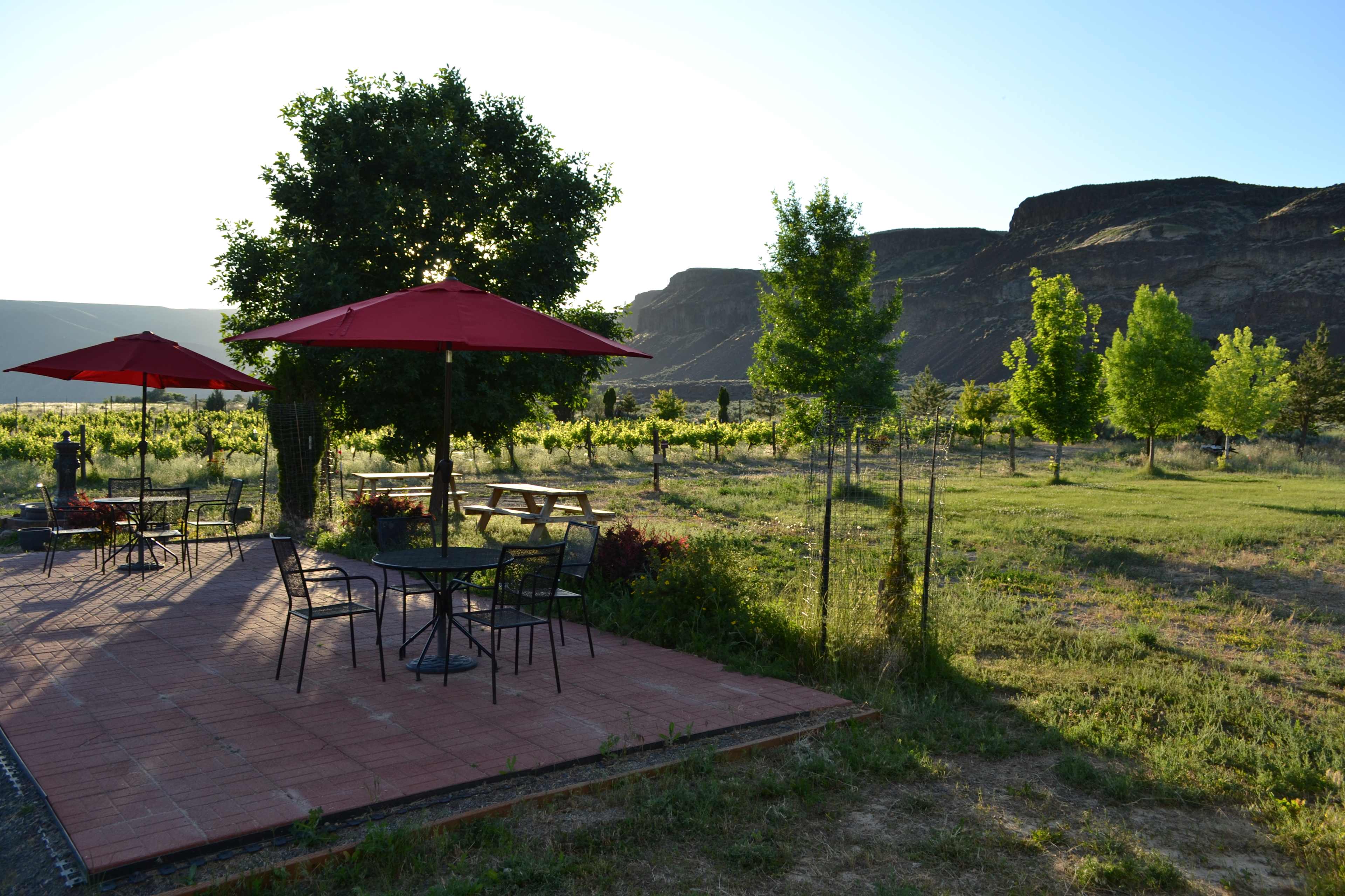 Del Rosario Family Vineyard