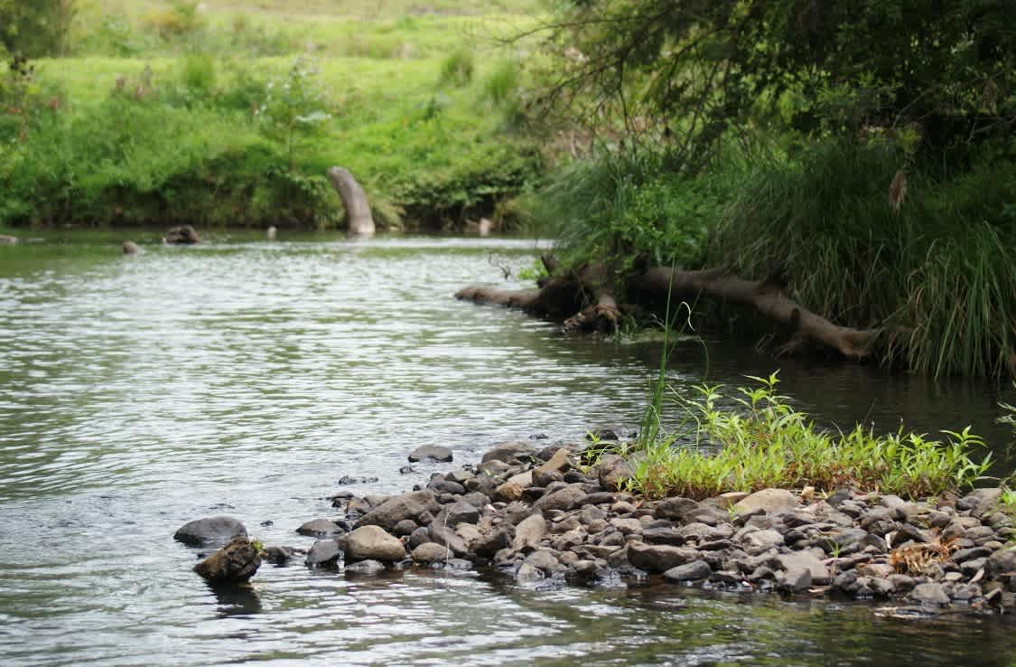 Acacia Creek