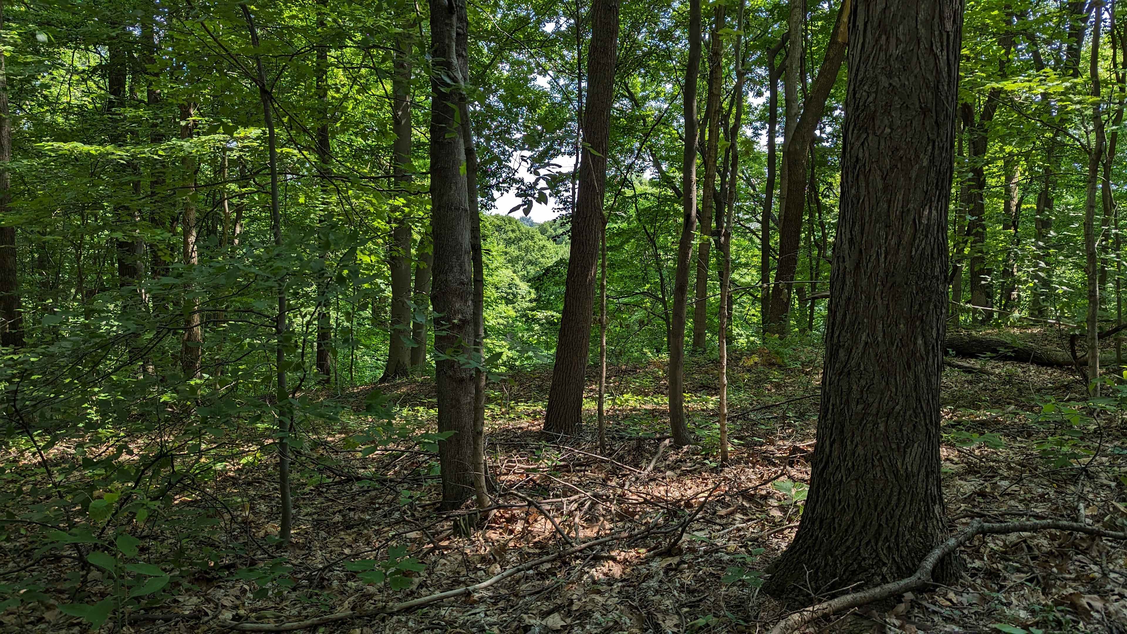 View from camp spot