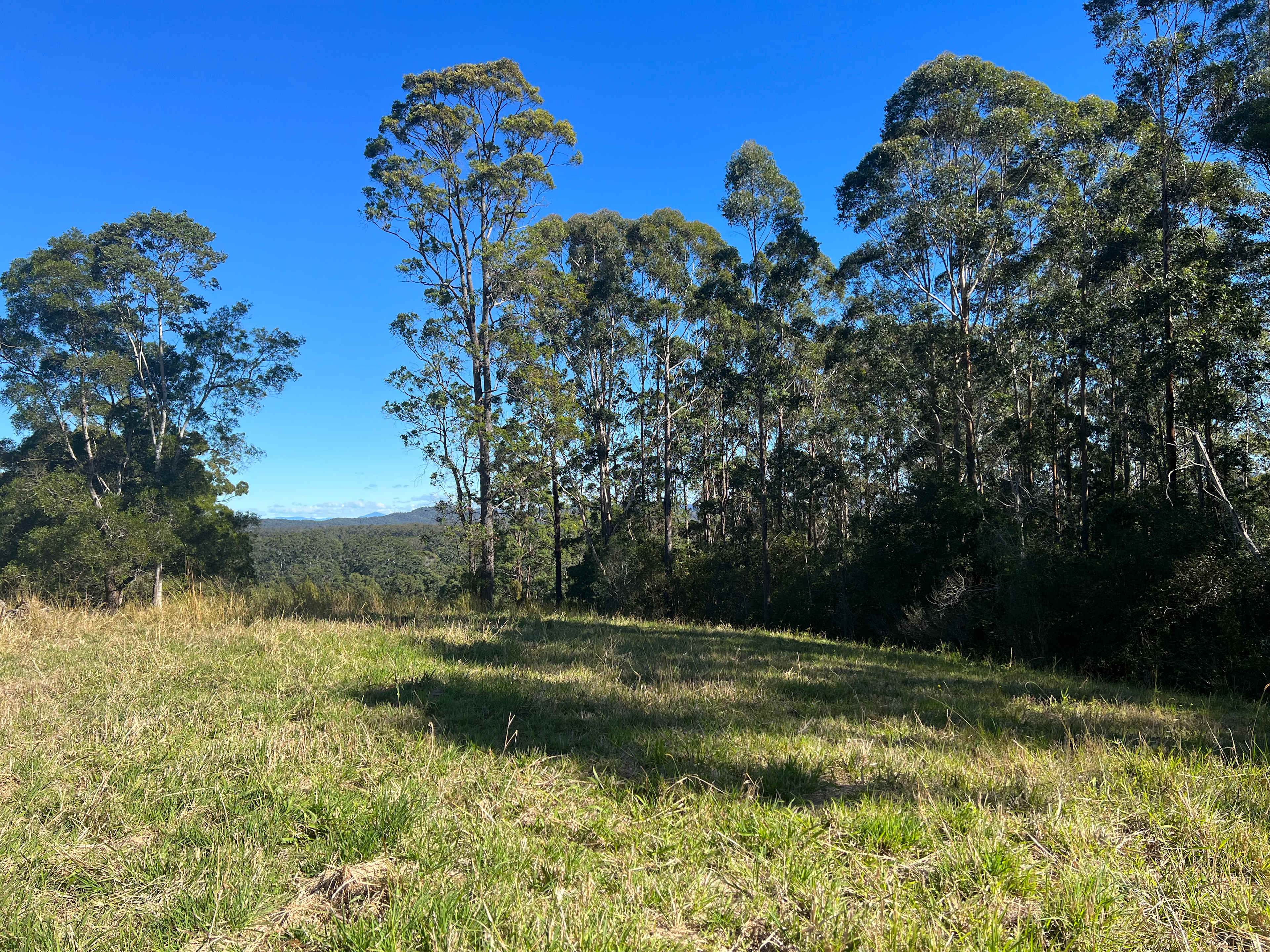 Watergums Farm