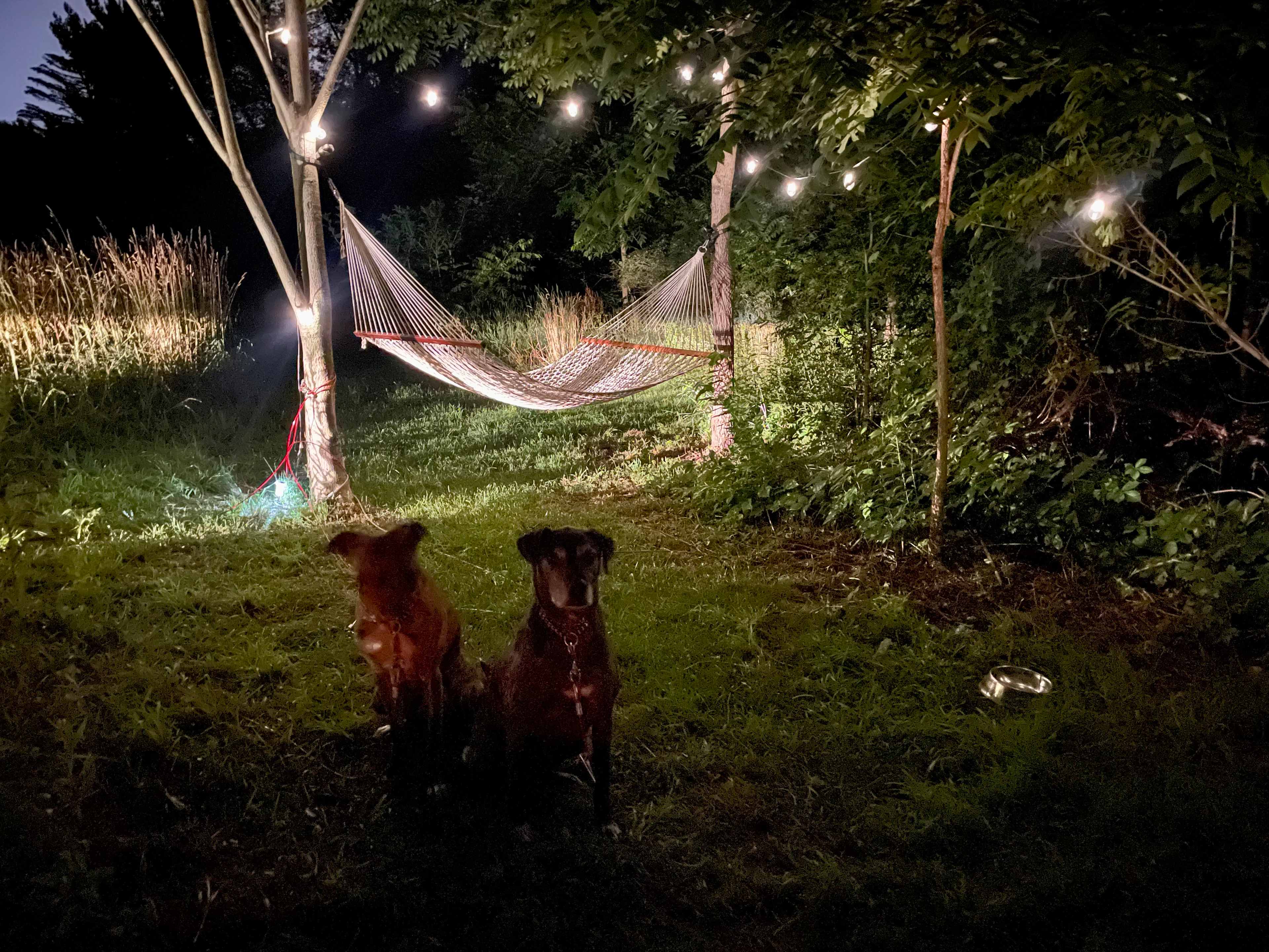 Three Dog Homestead