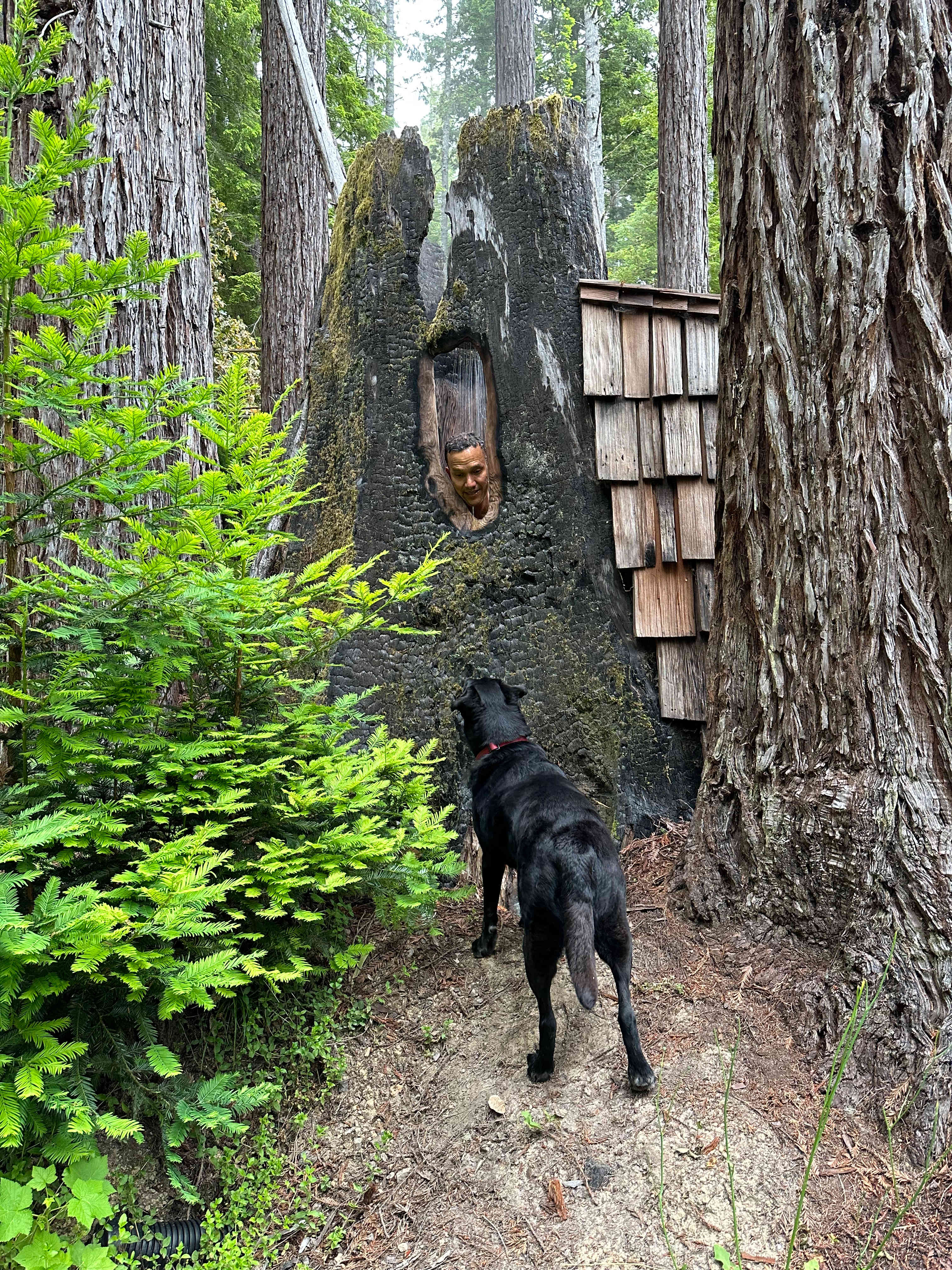 Heartwood Mendocino