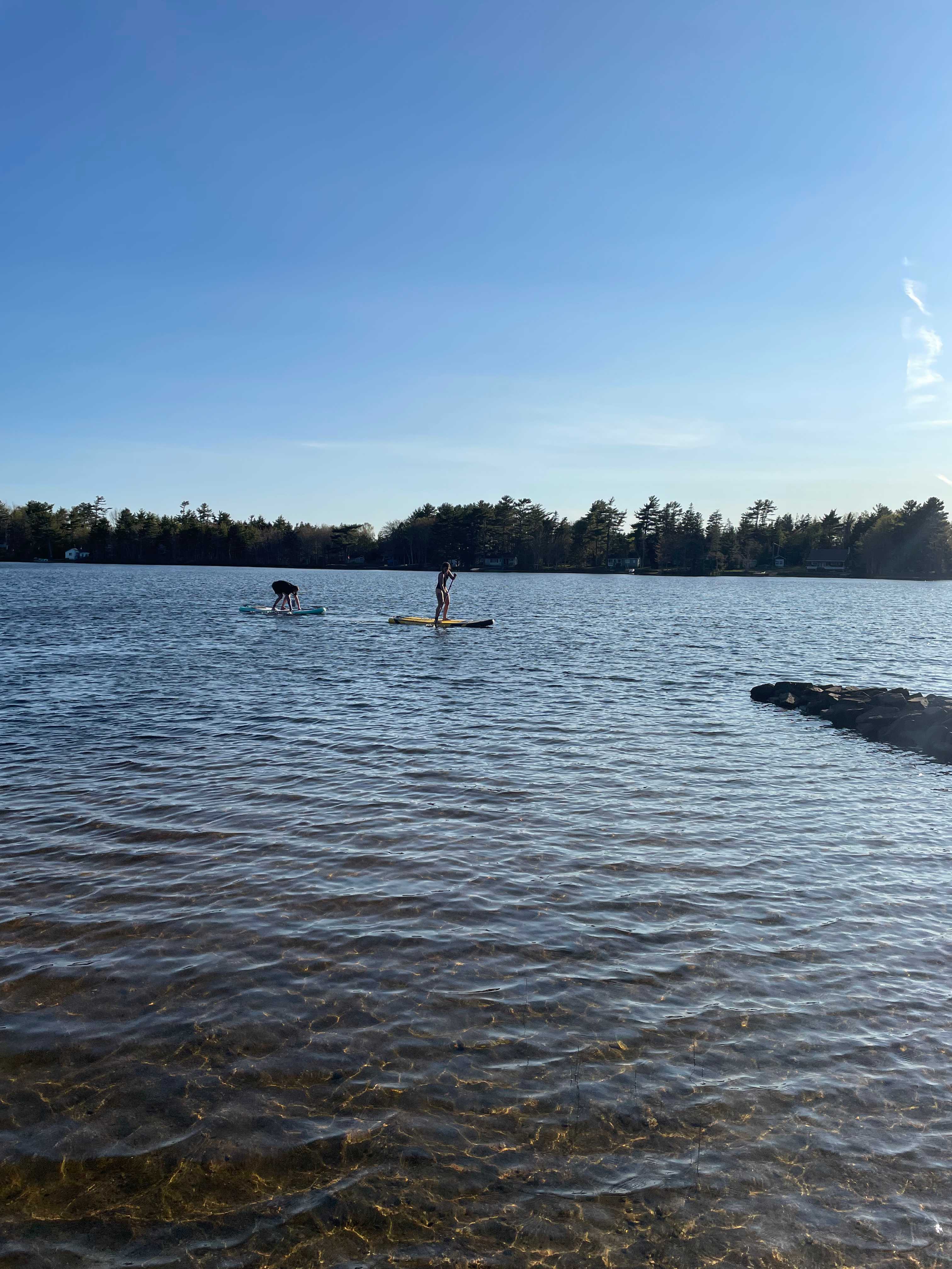 Paddle boarding allowed