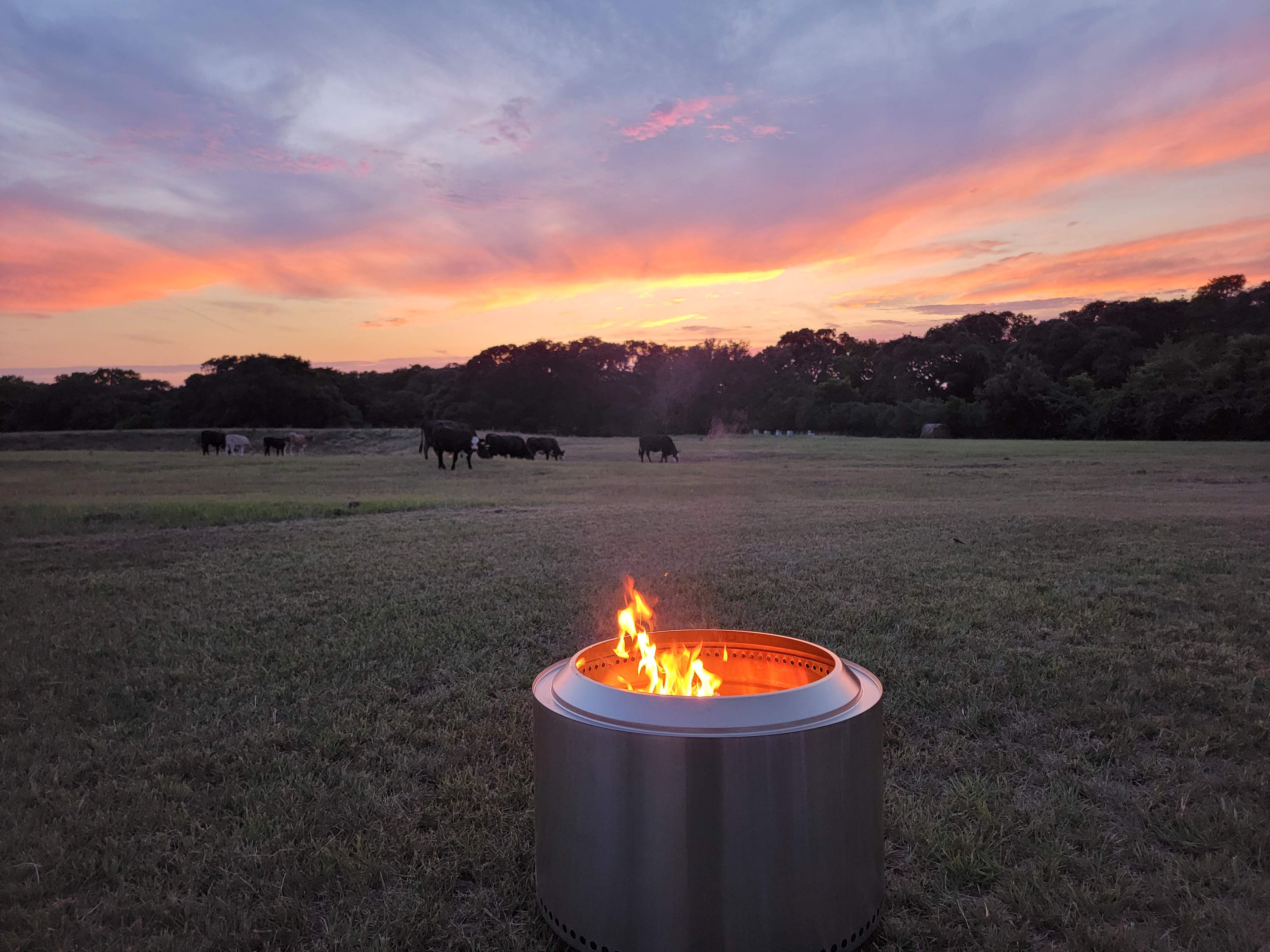 New Bielau Ranch