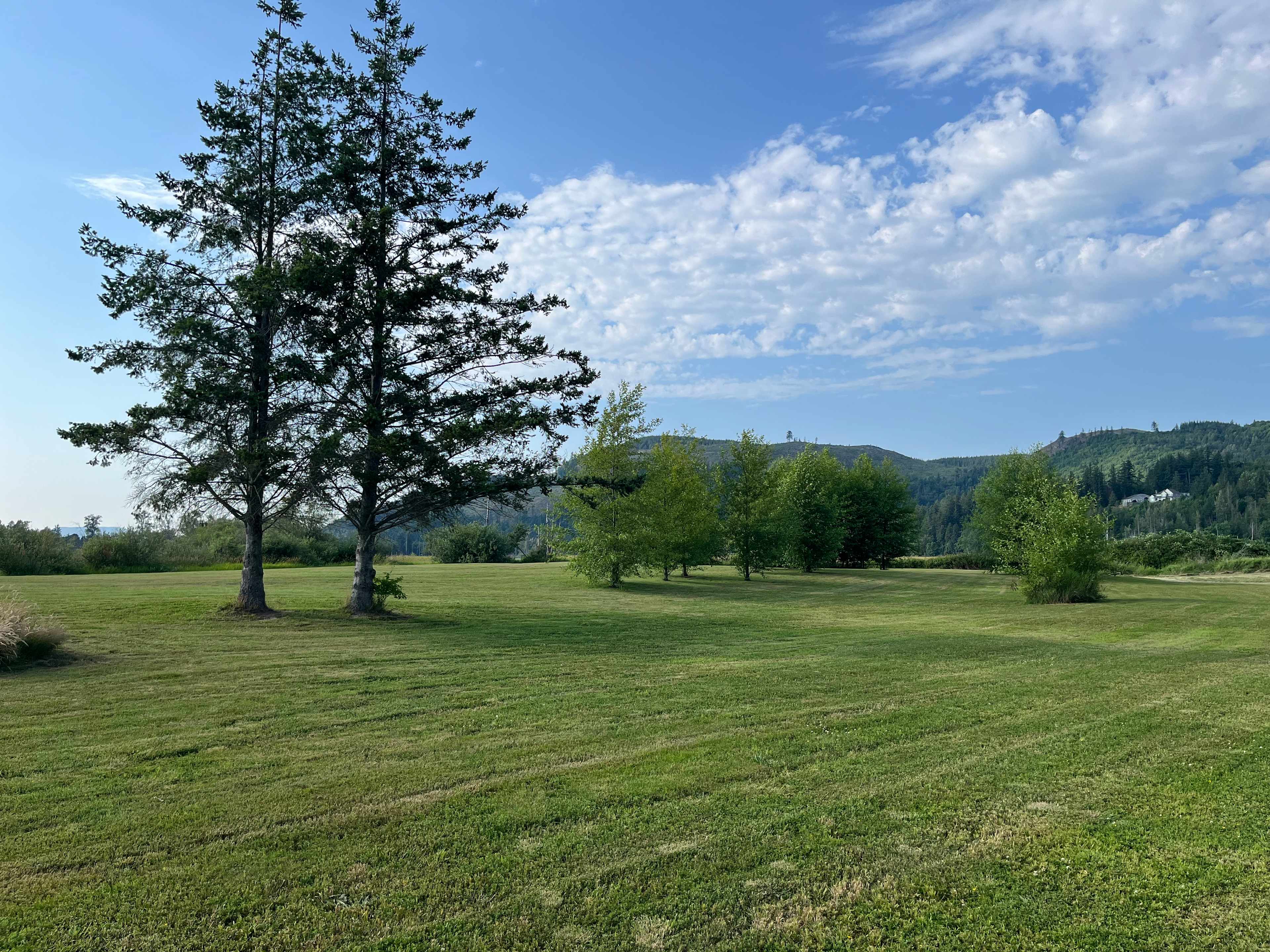 Beaver Meadow