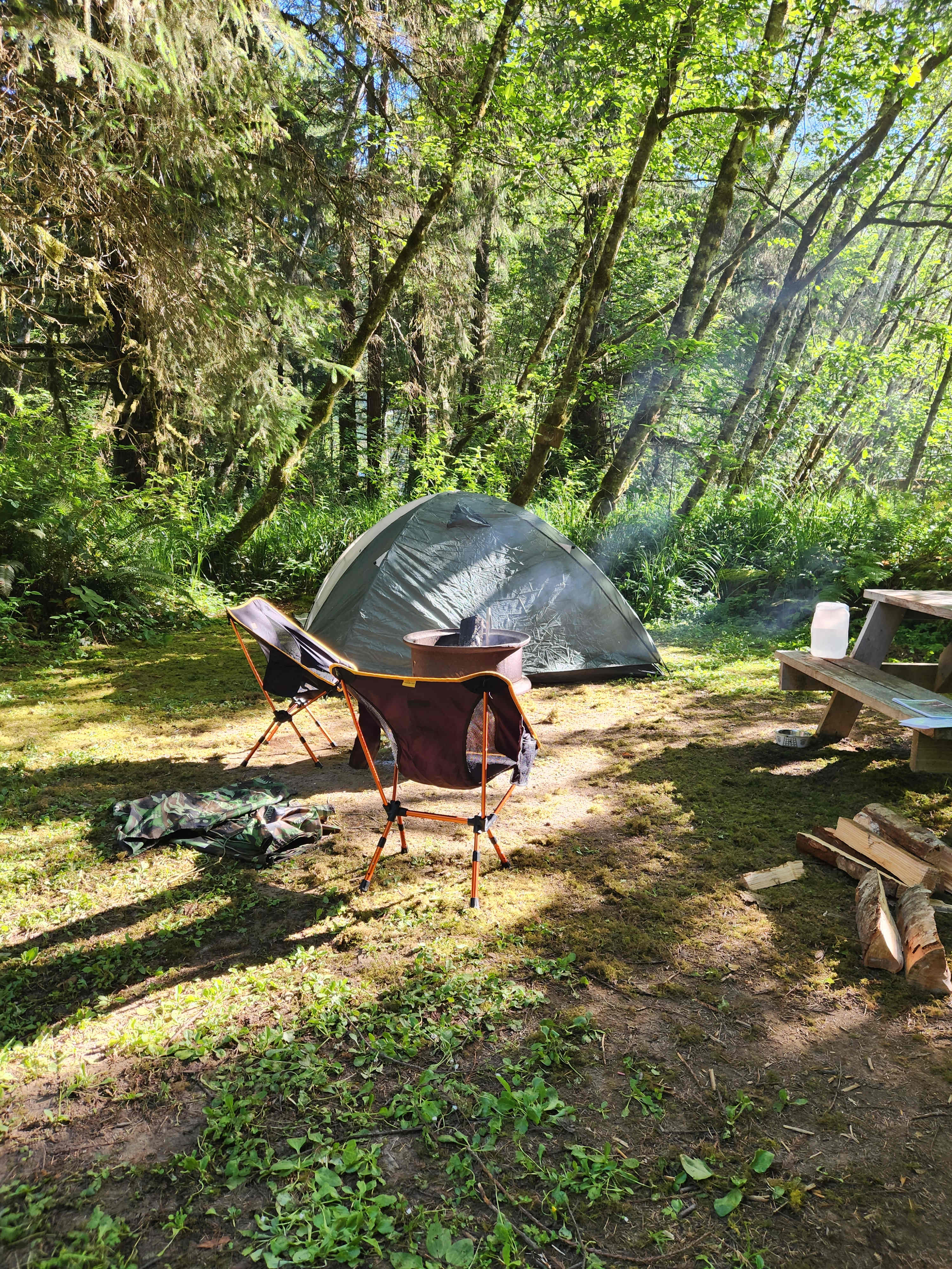 Picture of the site