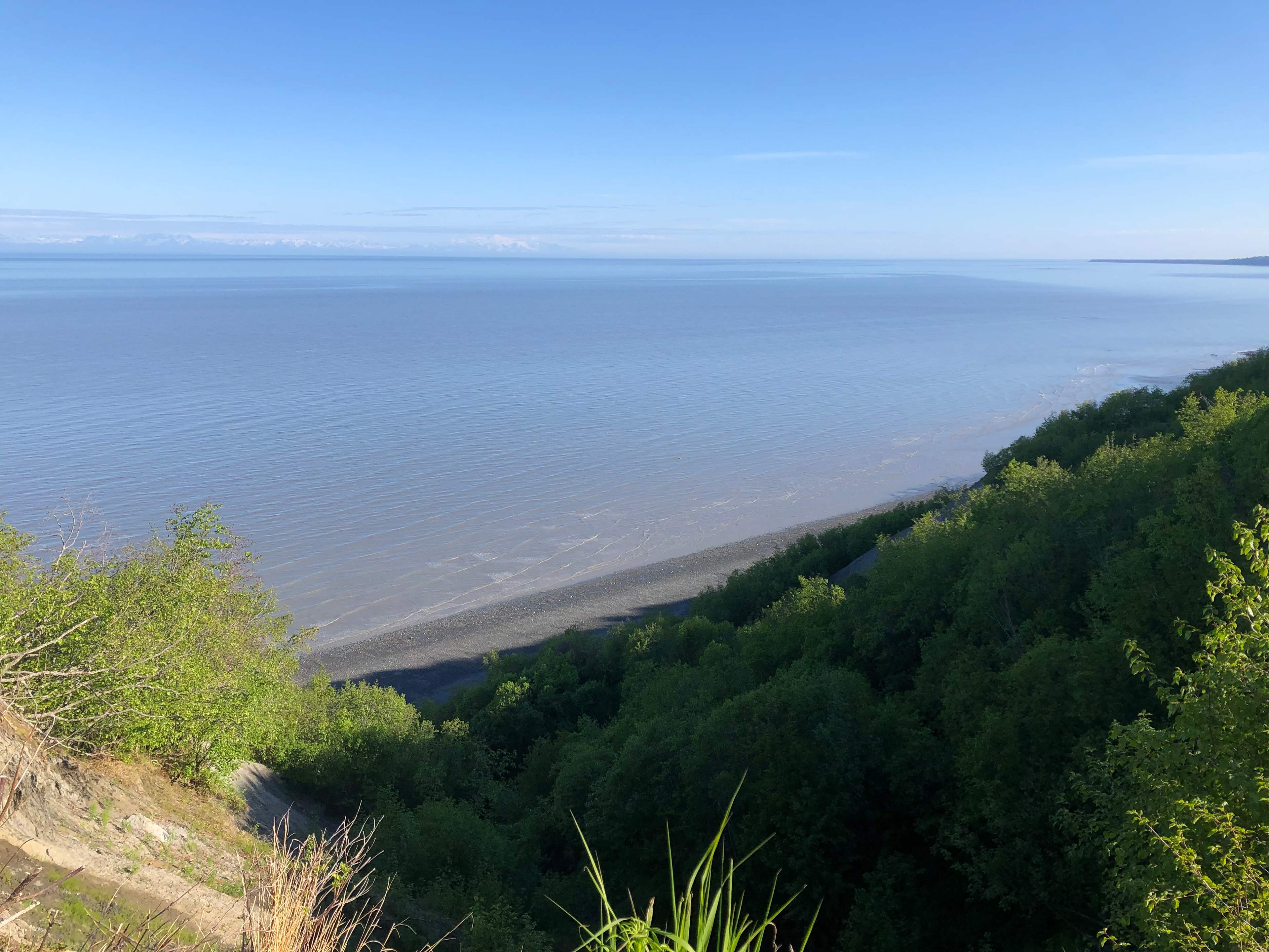 The Bluff Cabin at Clam Gulch
