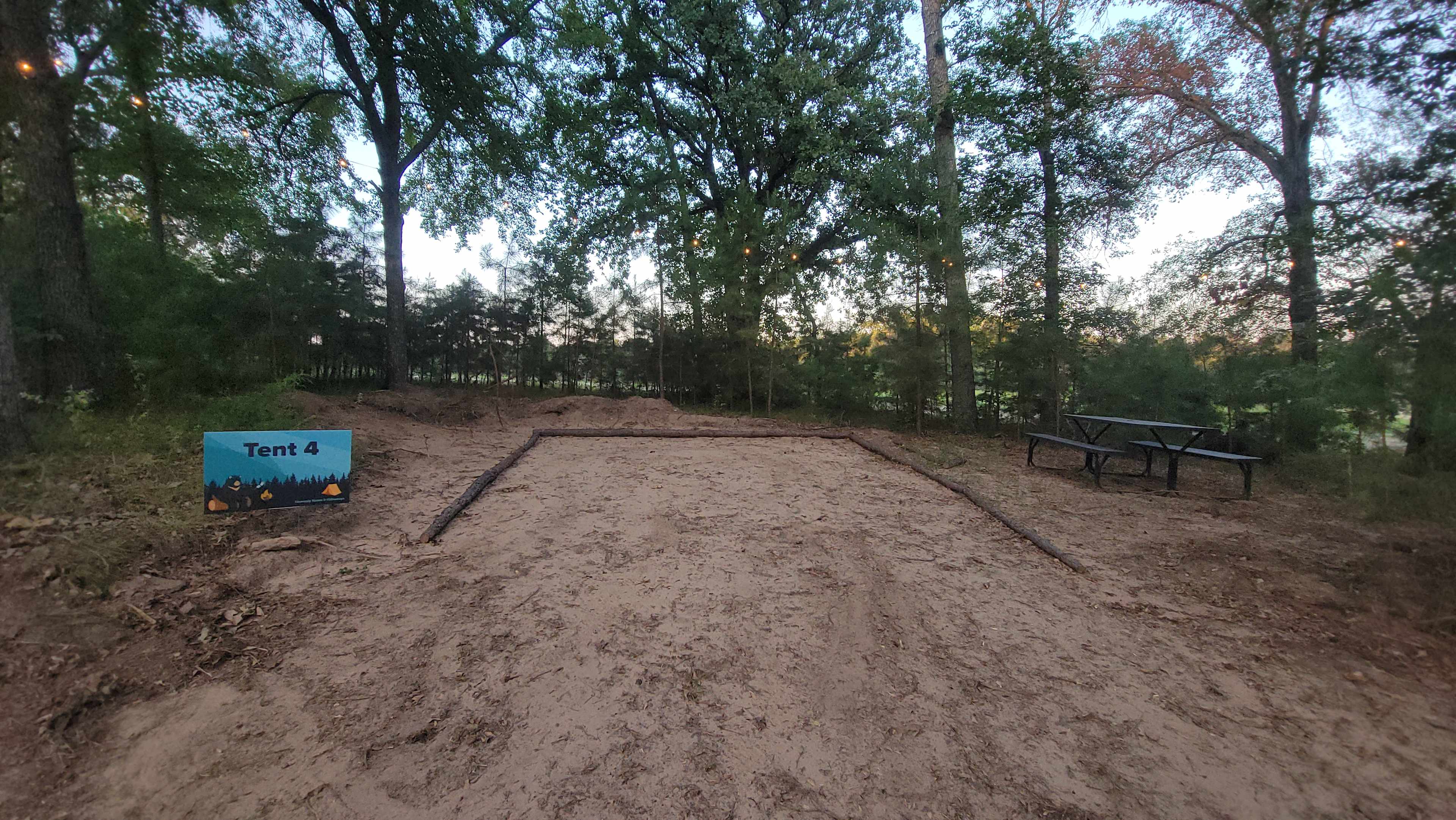 Picture of the site