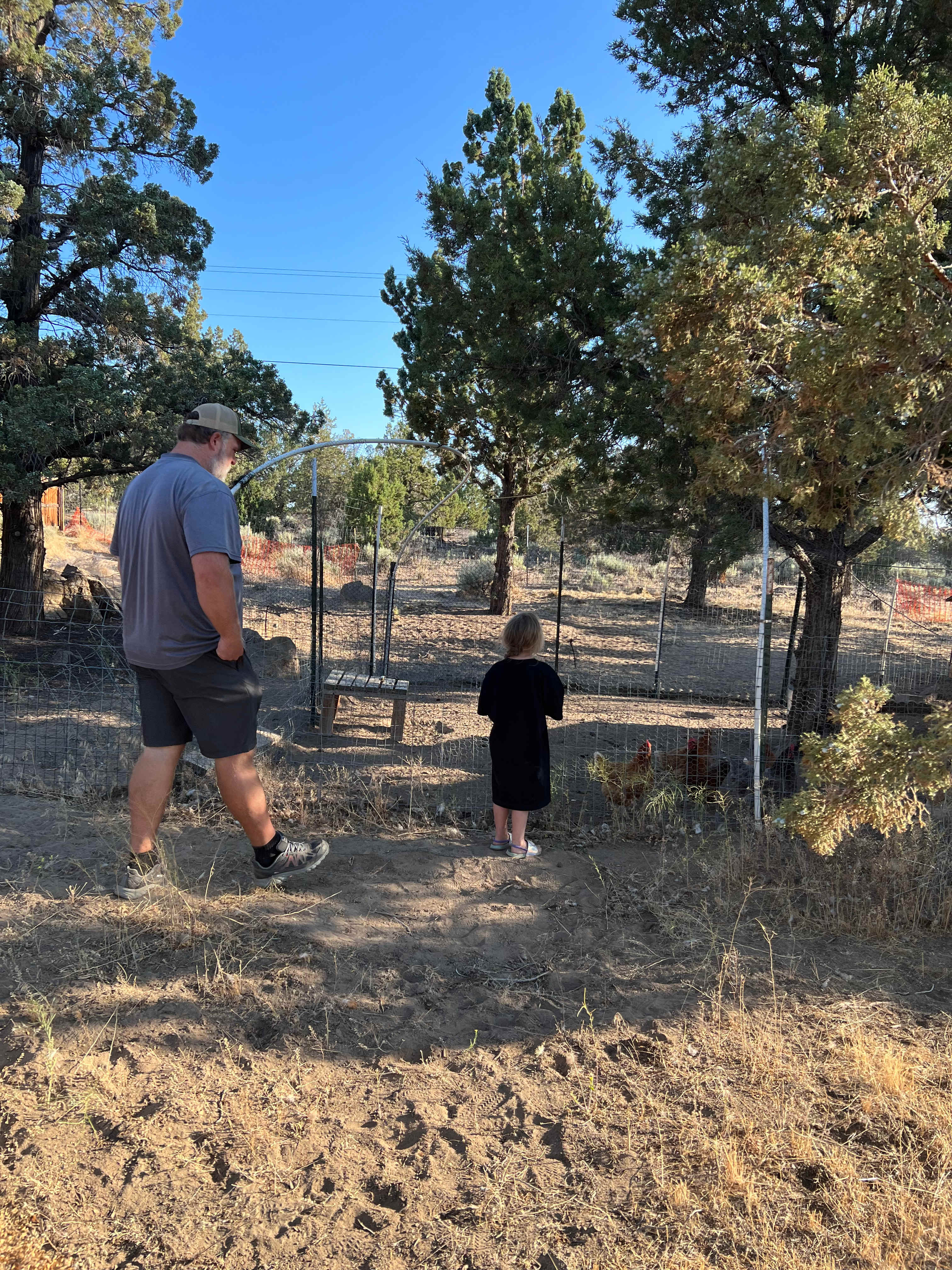 The Cool Ranch