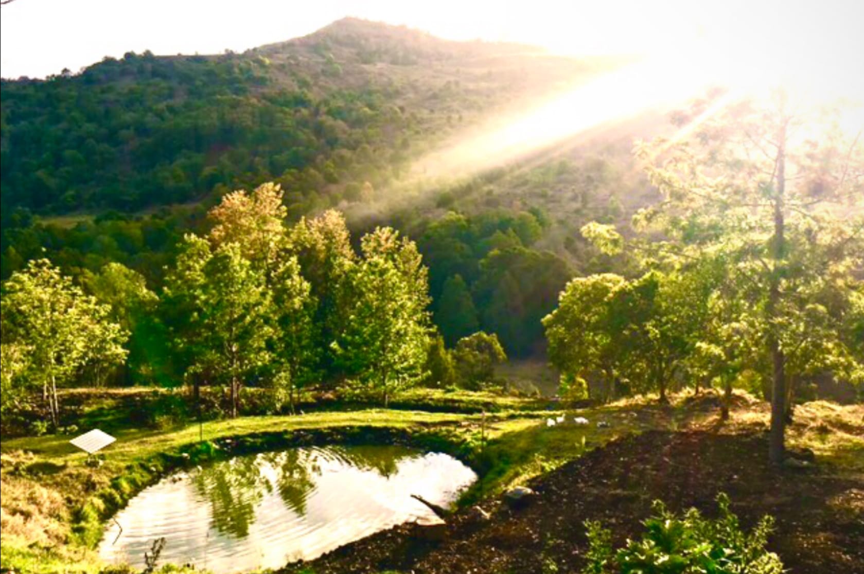 The Bush Clinic, Hinterland Retreat