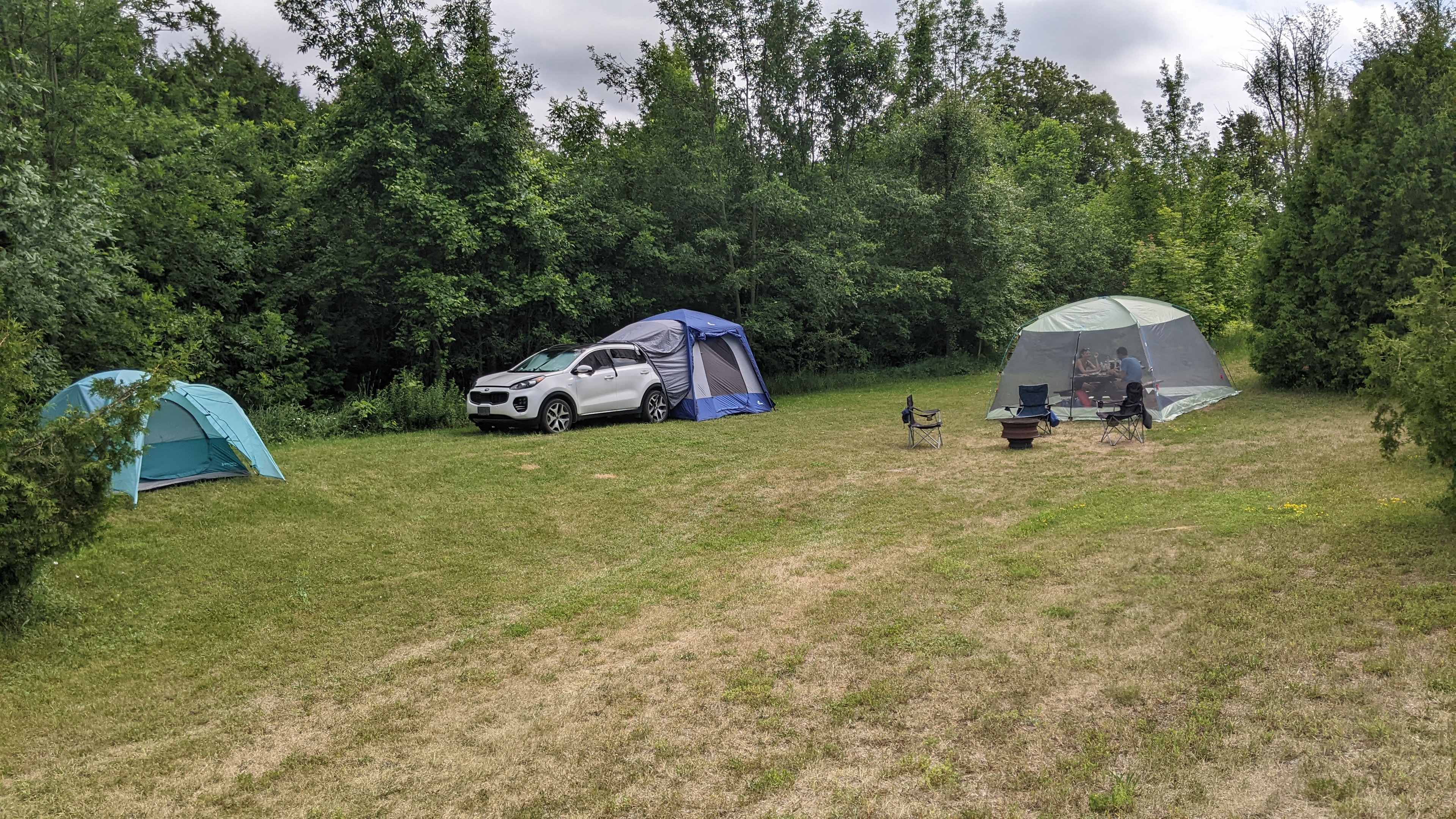Picture of the site
