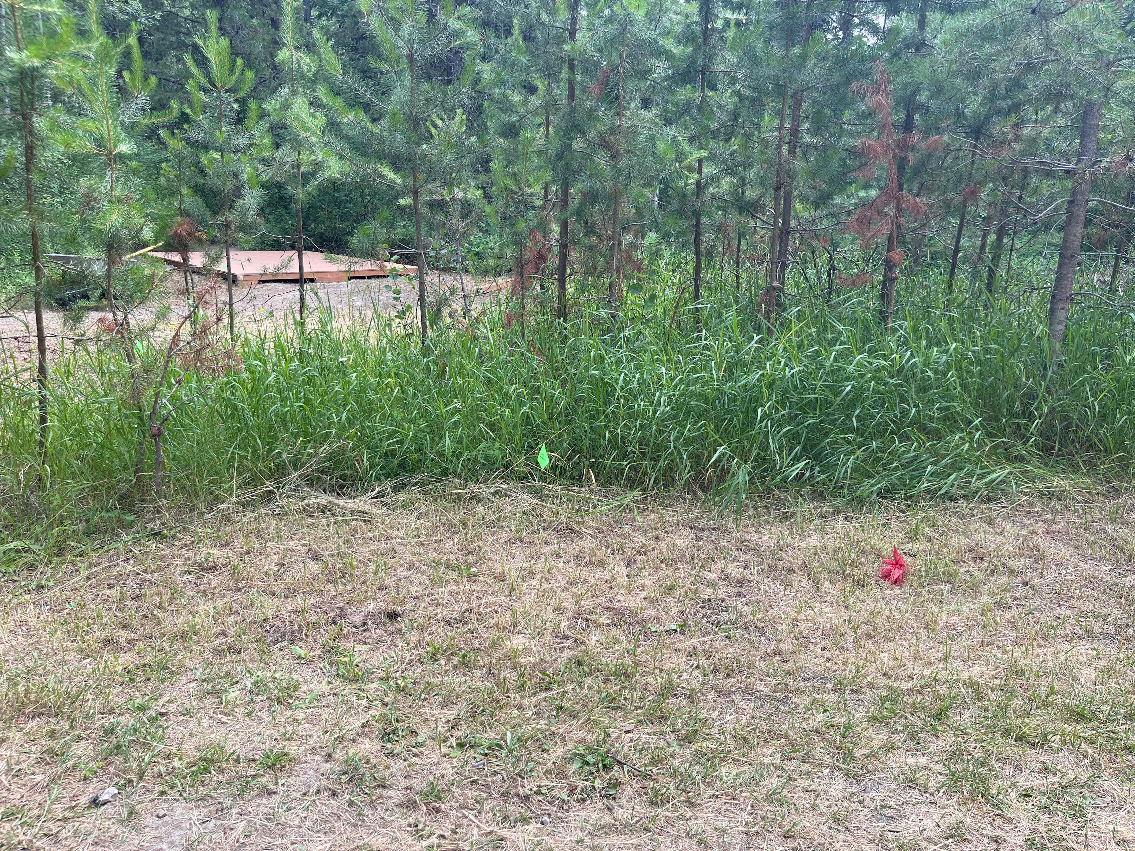 Picture of the site