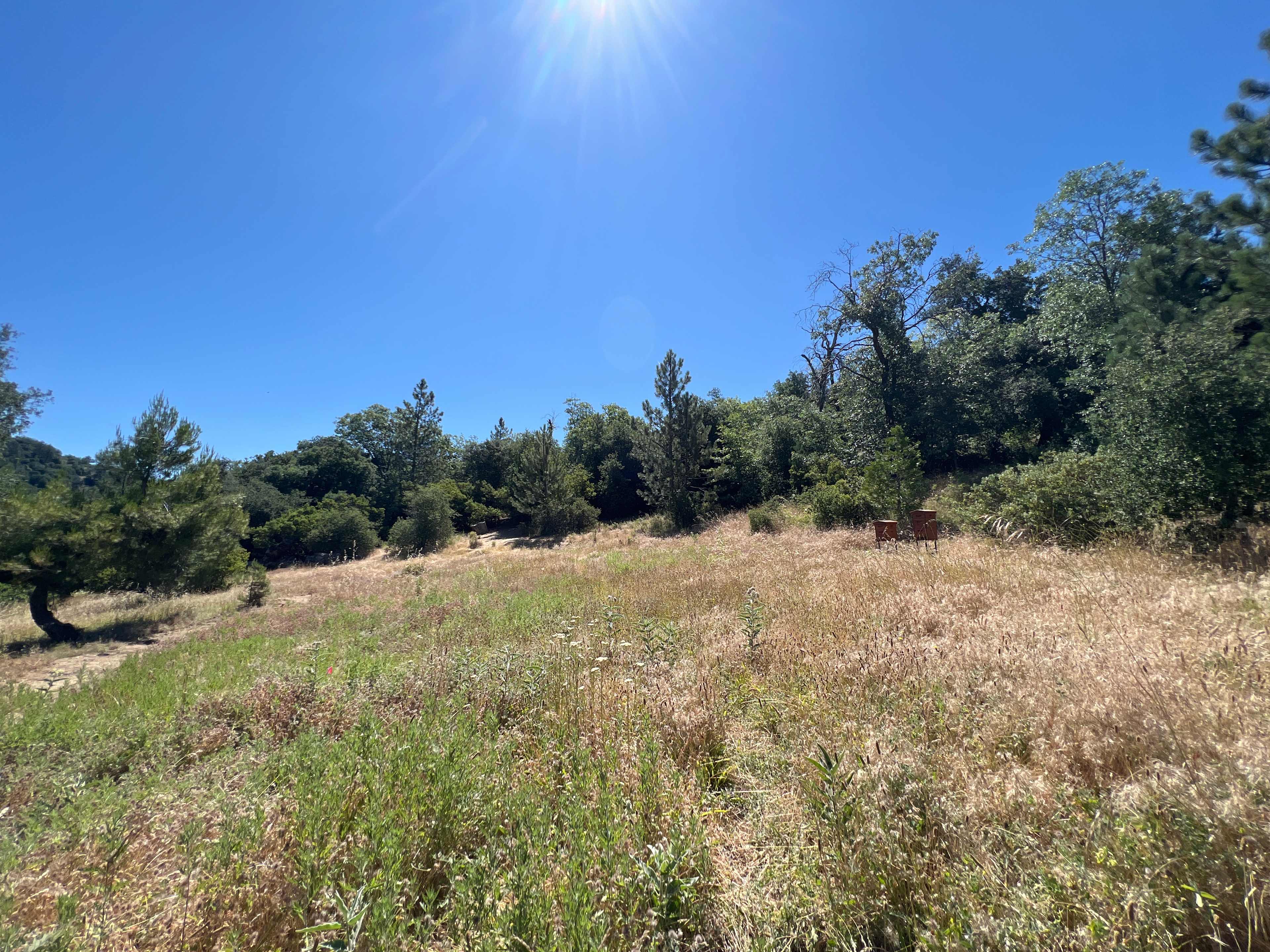 View from Pop-Up Pad of Property. Adventure Trail entrance and bee hives in the background. 