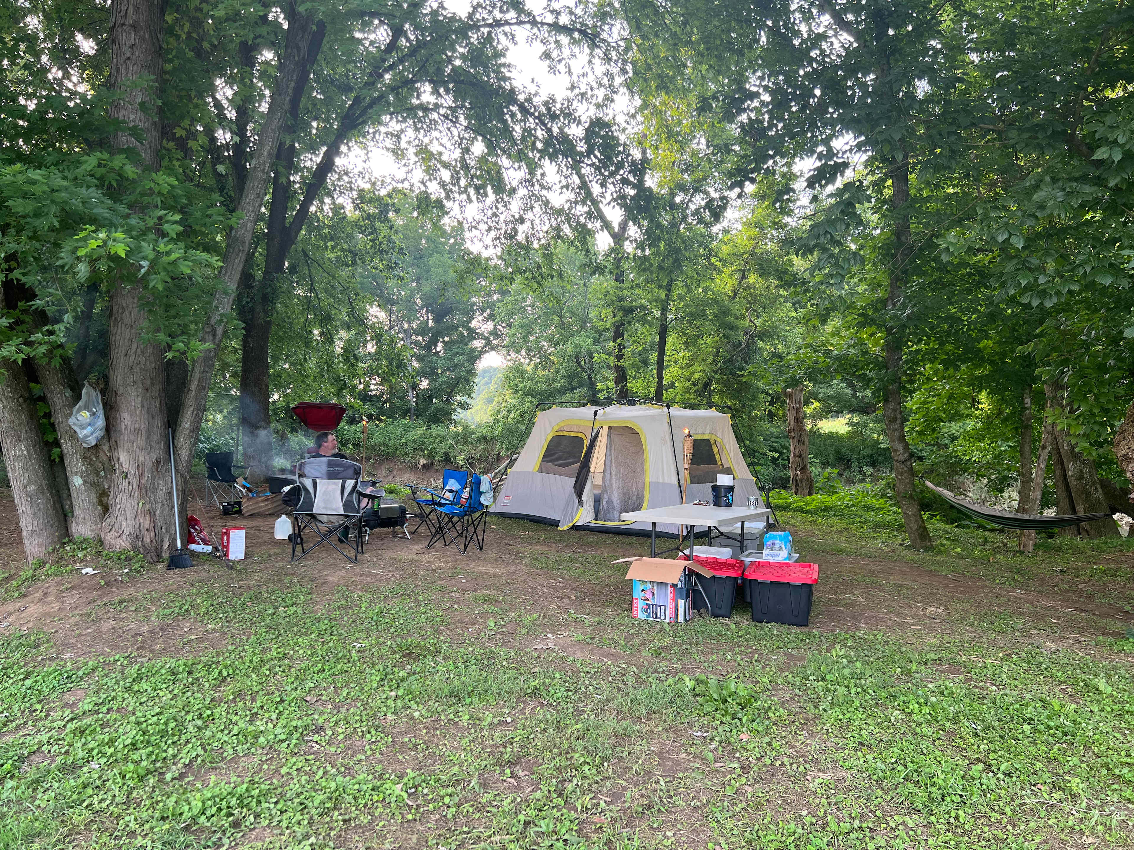 Picture of the site
