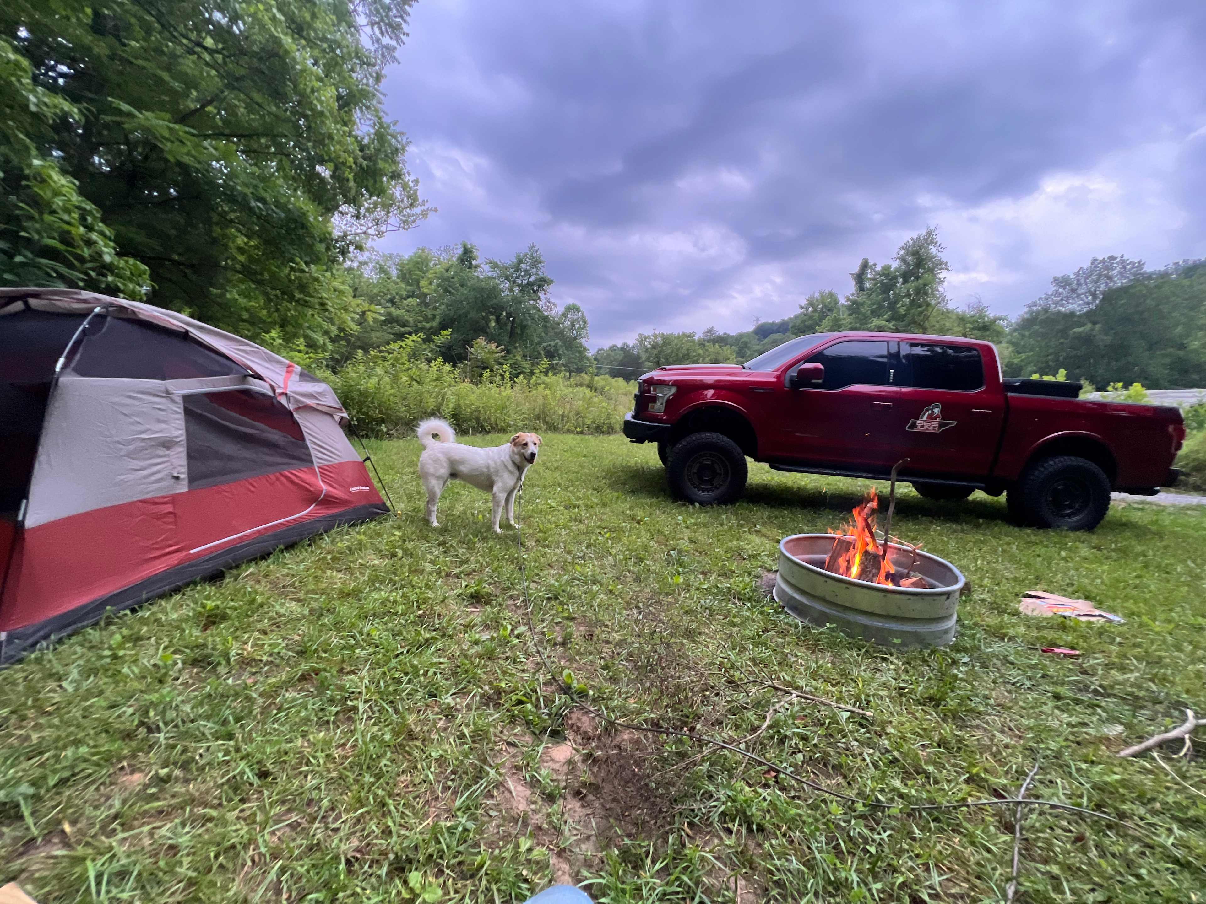 Picture of the site