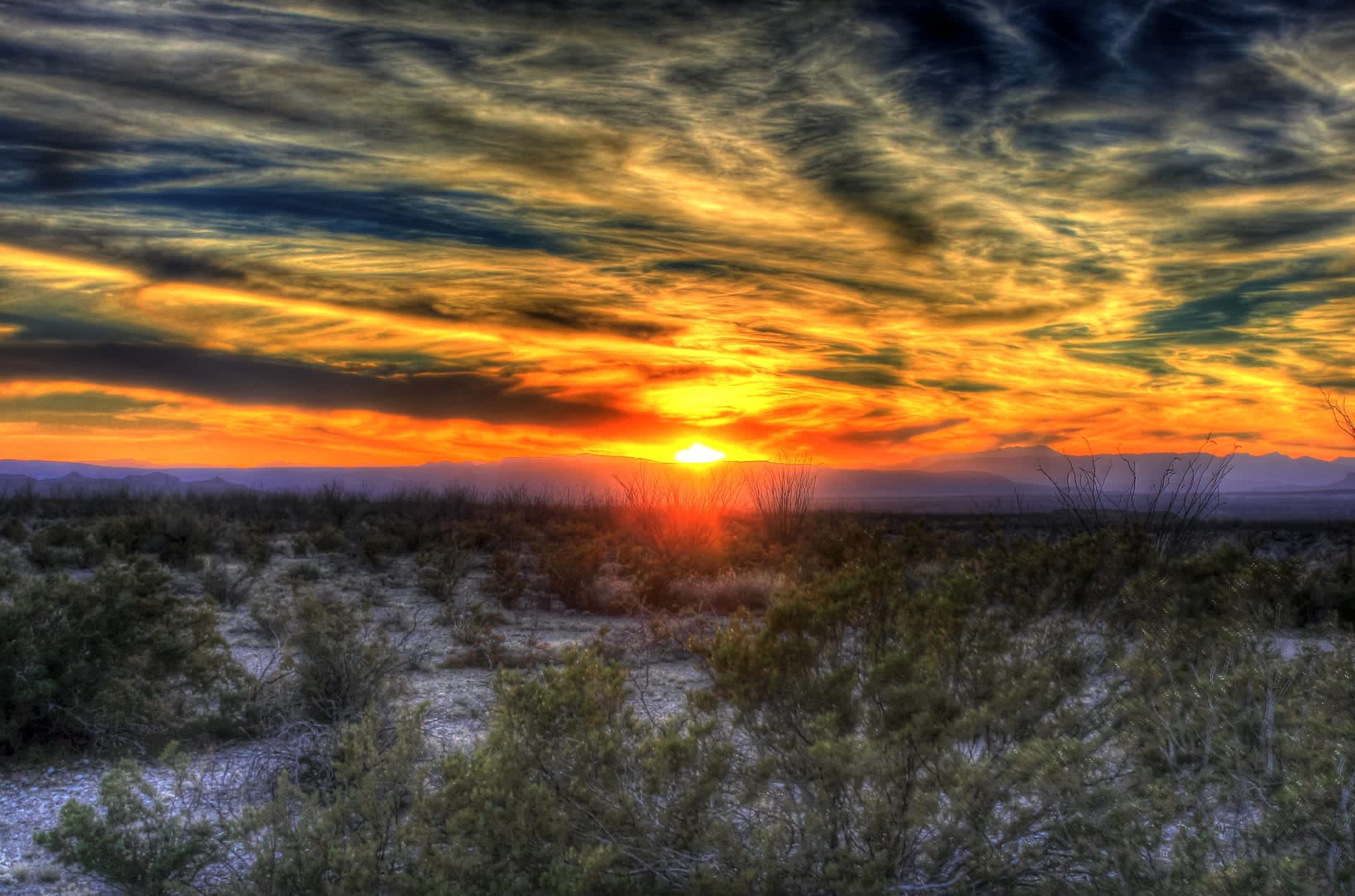 Big Bend Overland Adventure Camping