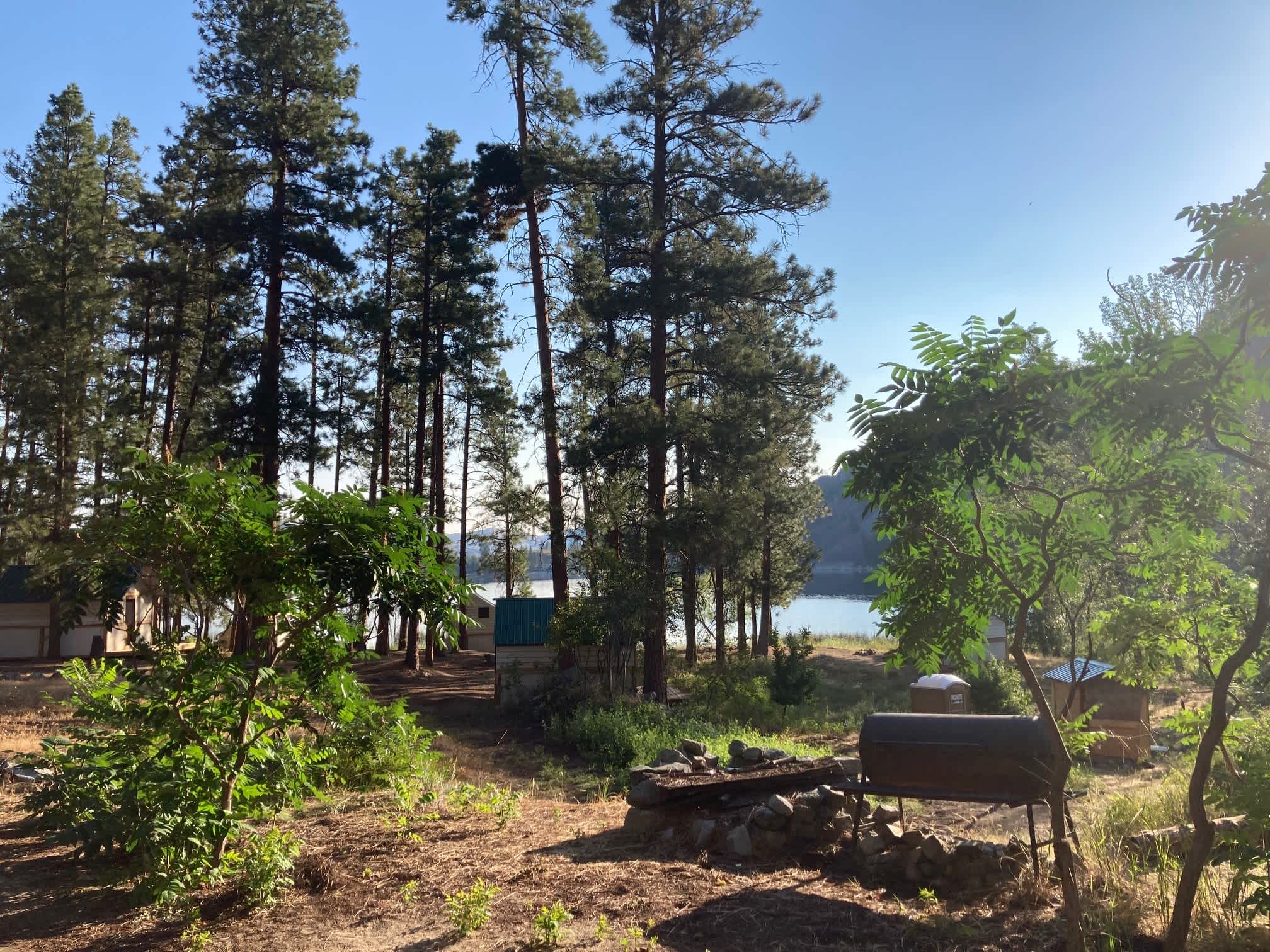 Picture of the site