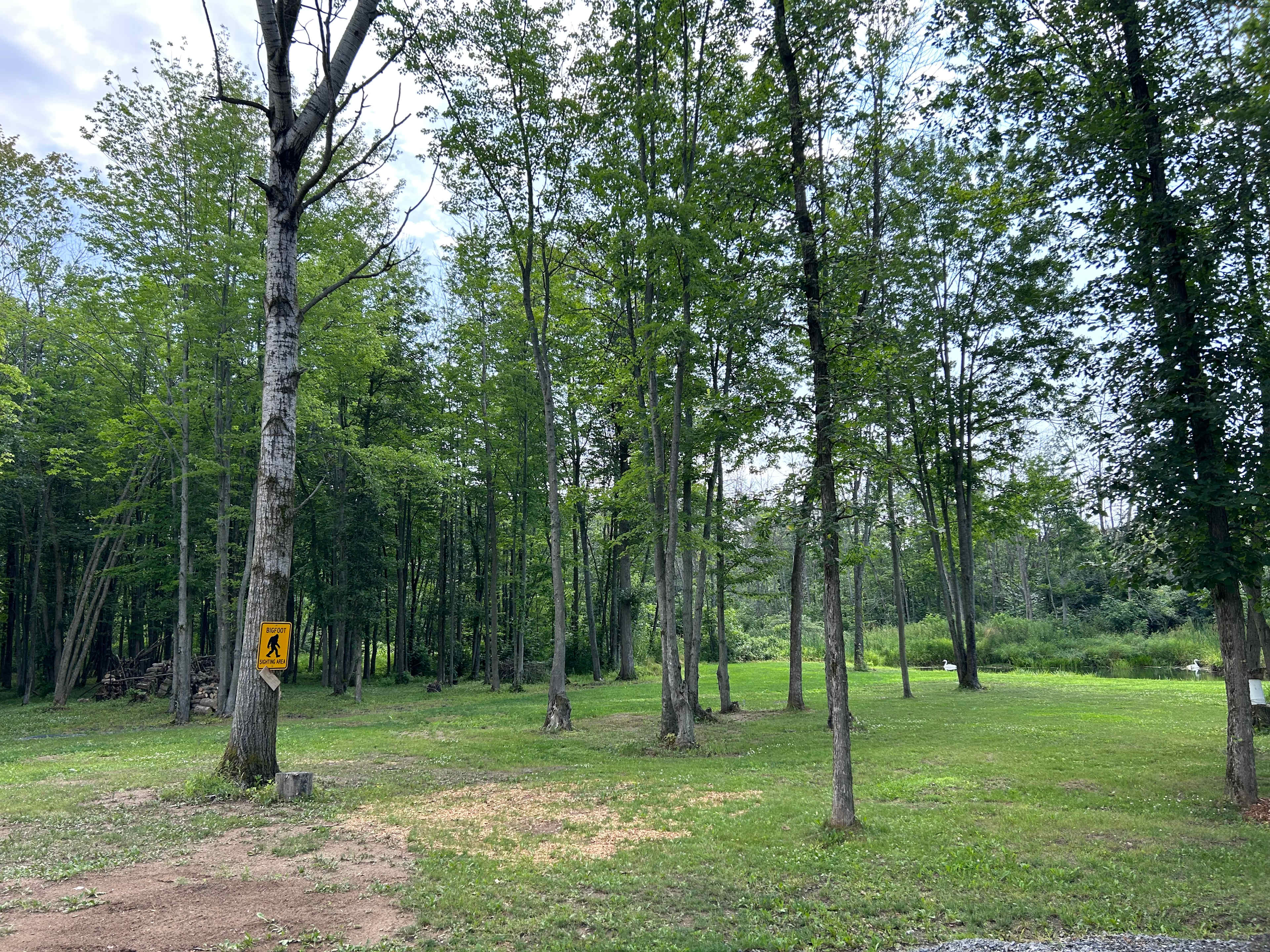 Flat grassy area to pitch tents or park a trailer 