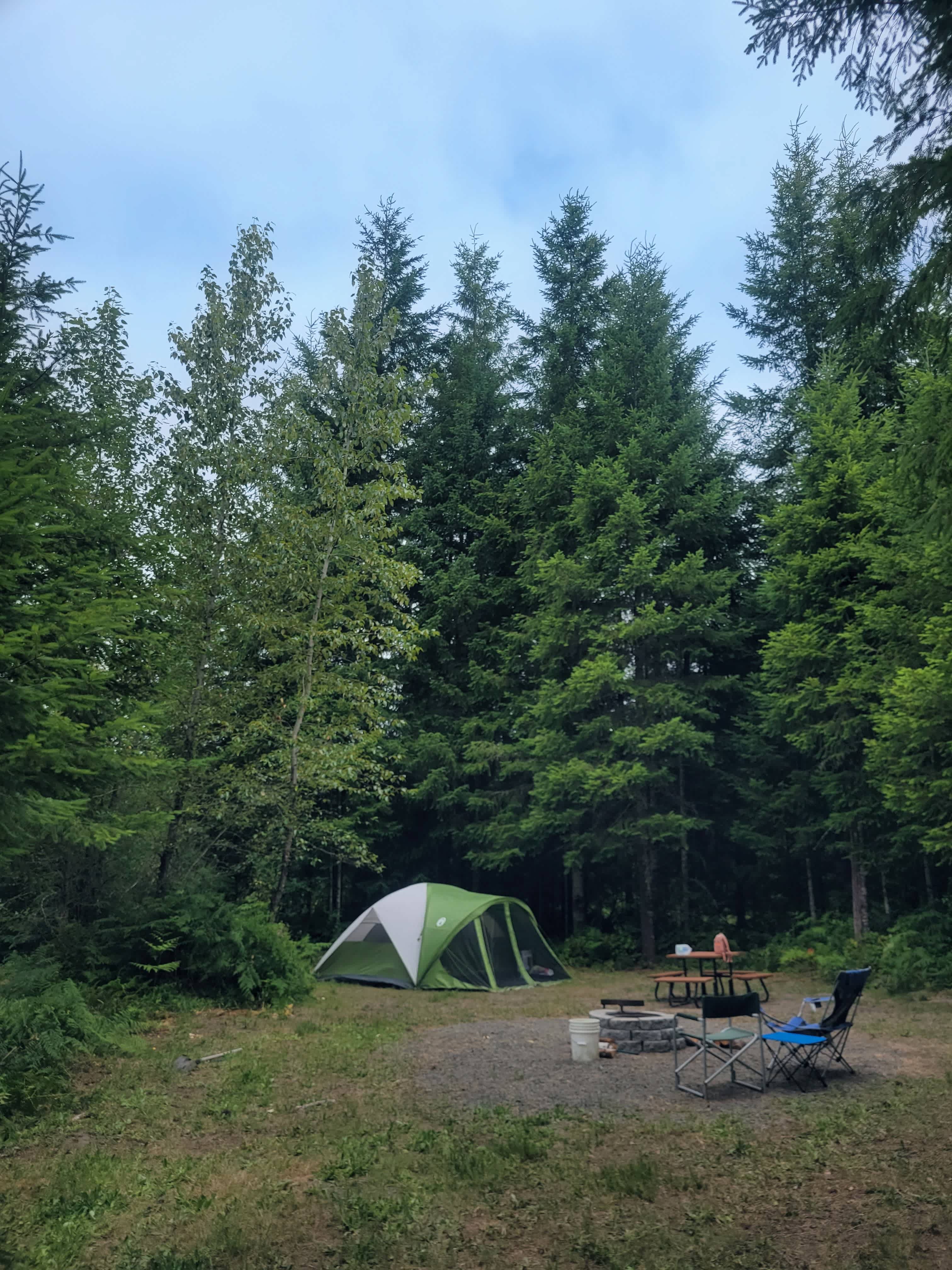 Picture of the site