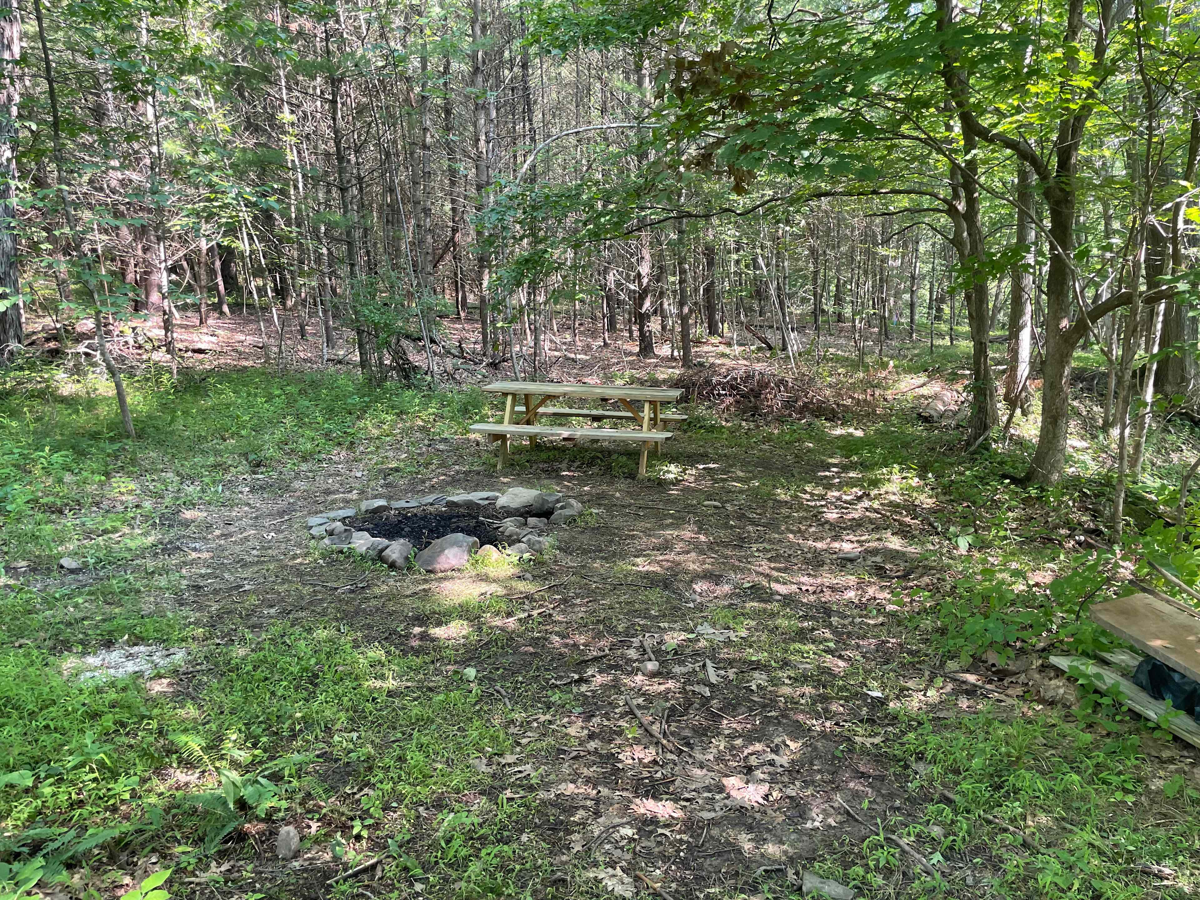 Picture of the site