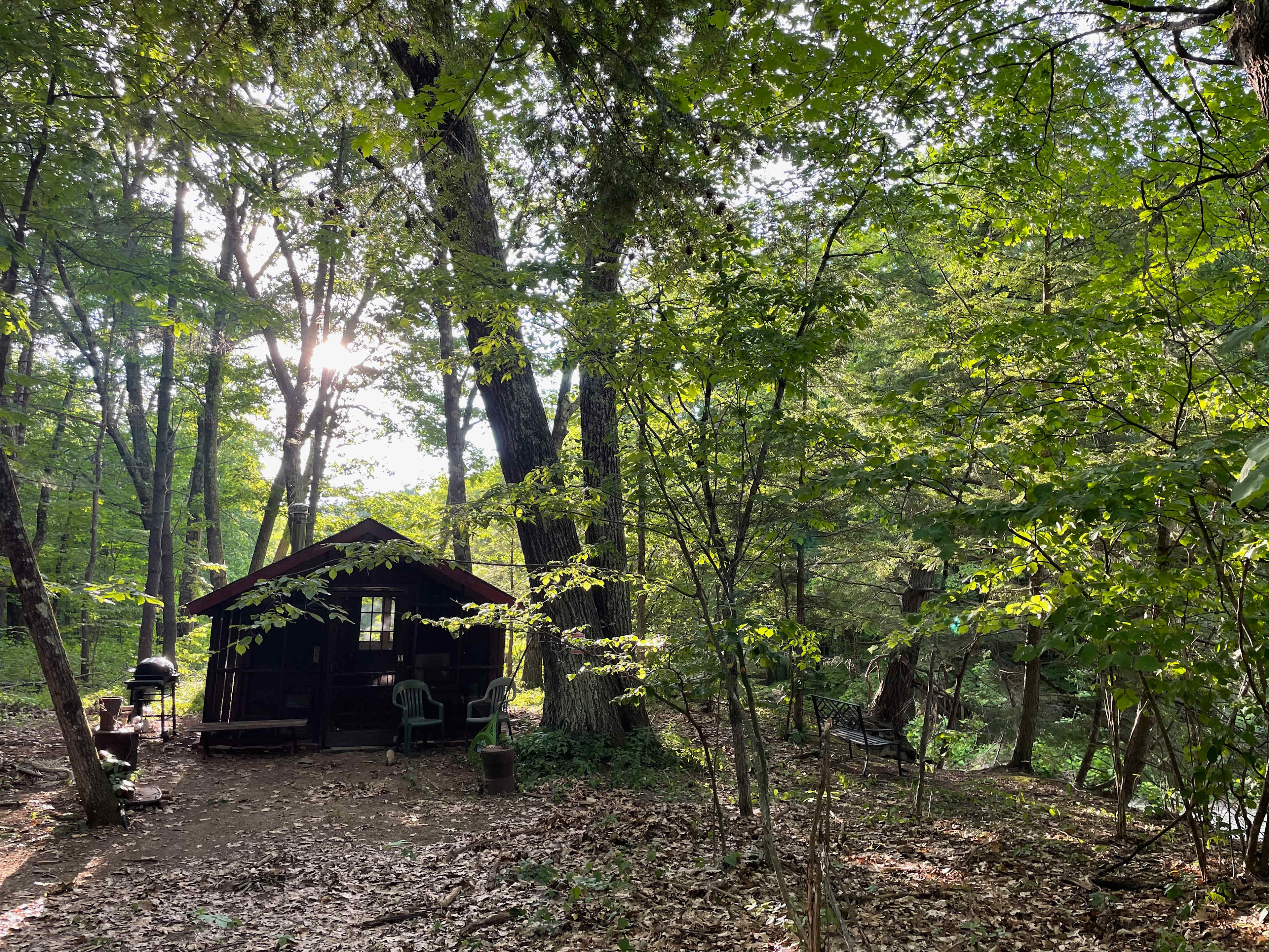 Picture of the site