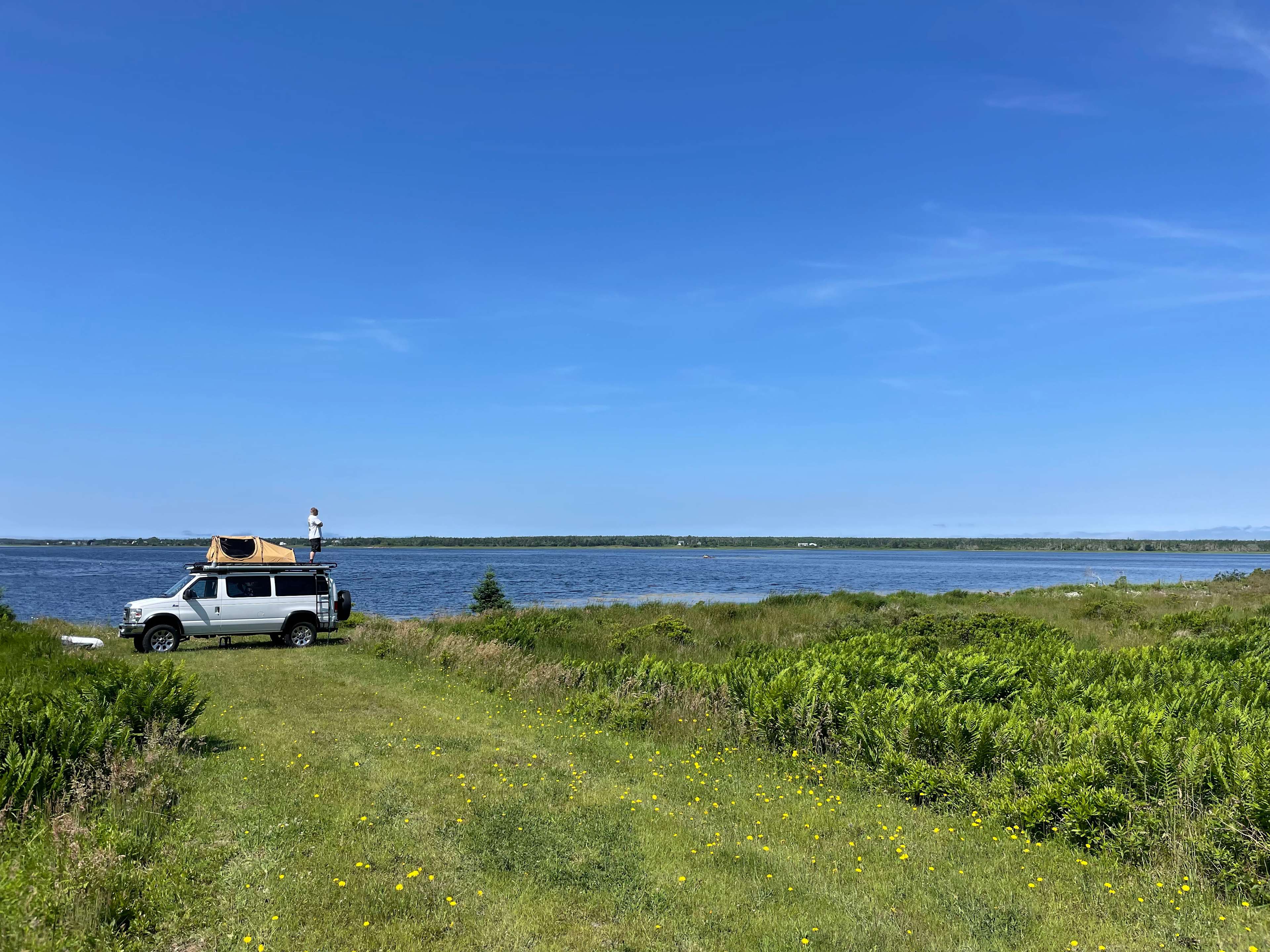 Picture of the site