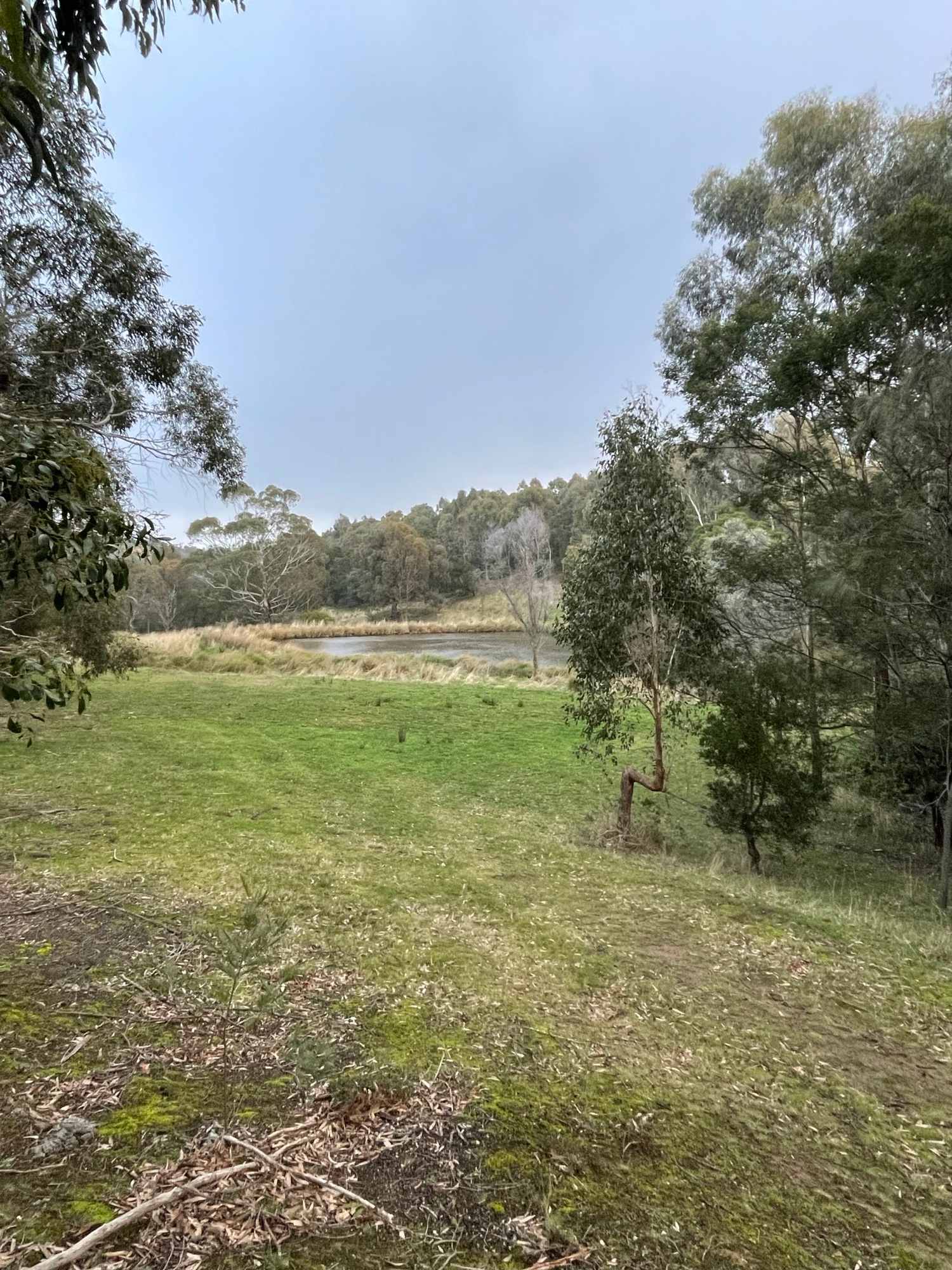 Two Dams Paddock