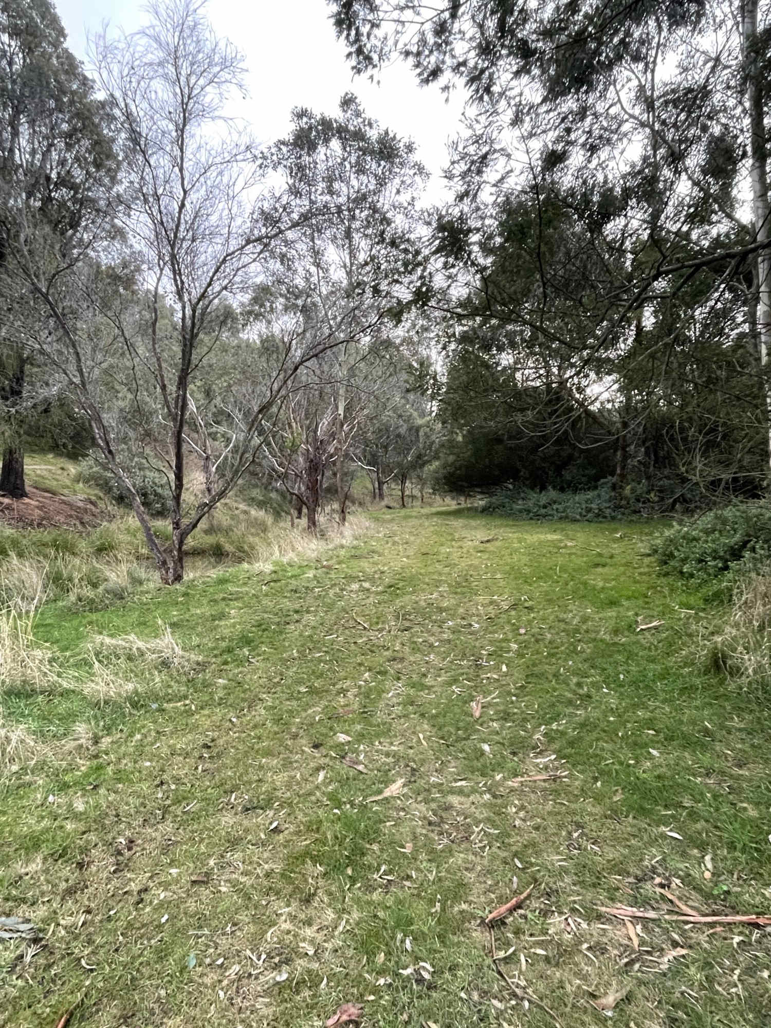 Two Dams Paddock