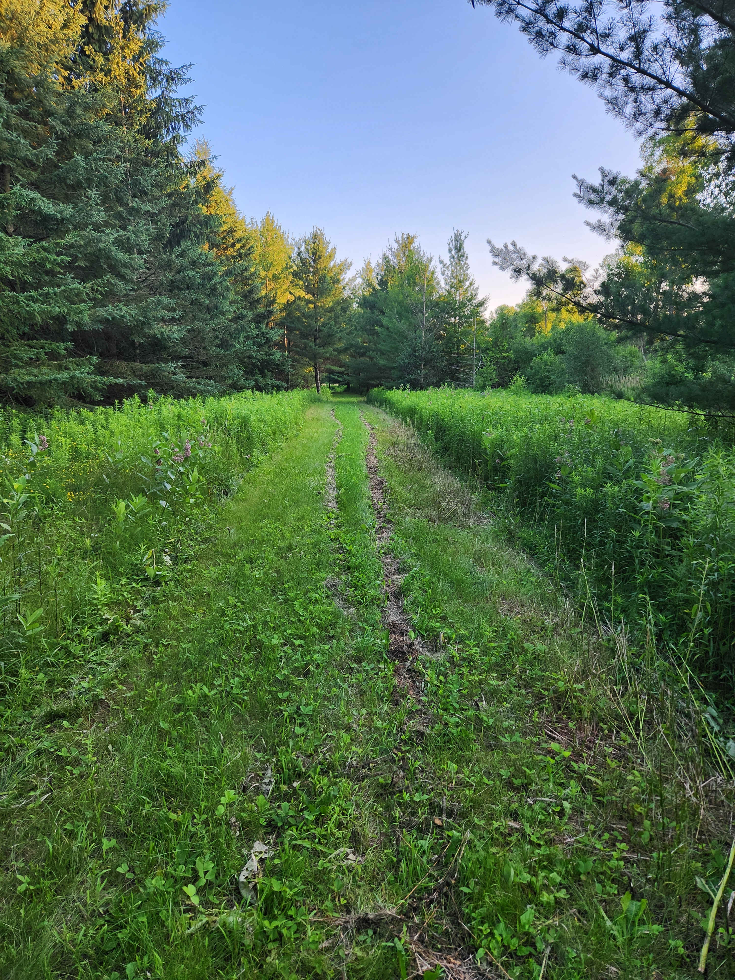 Firefly Trail
