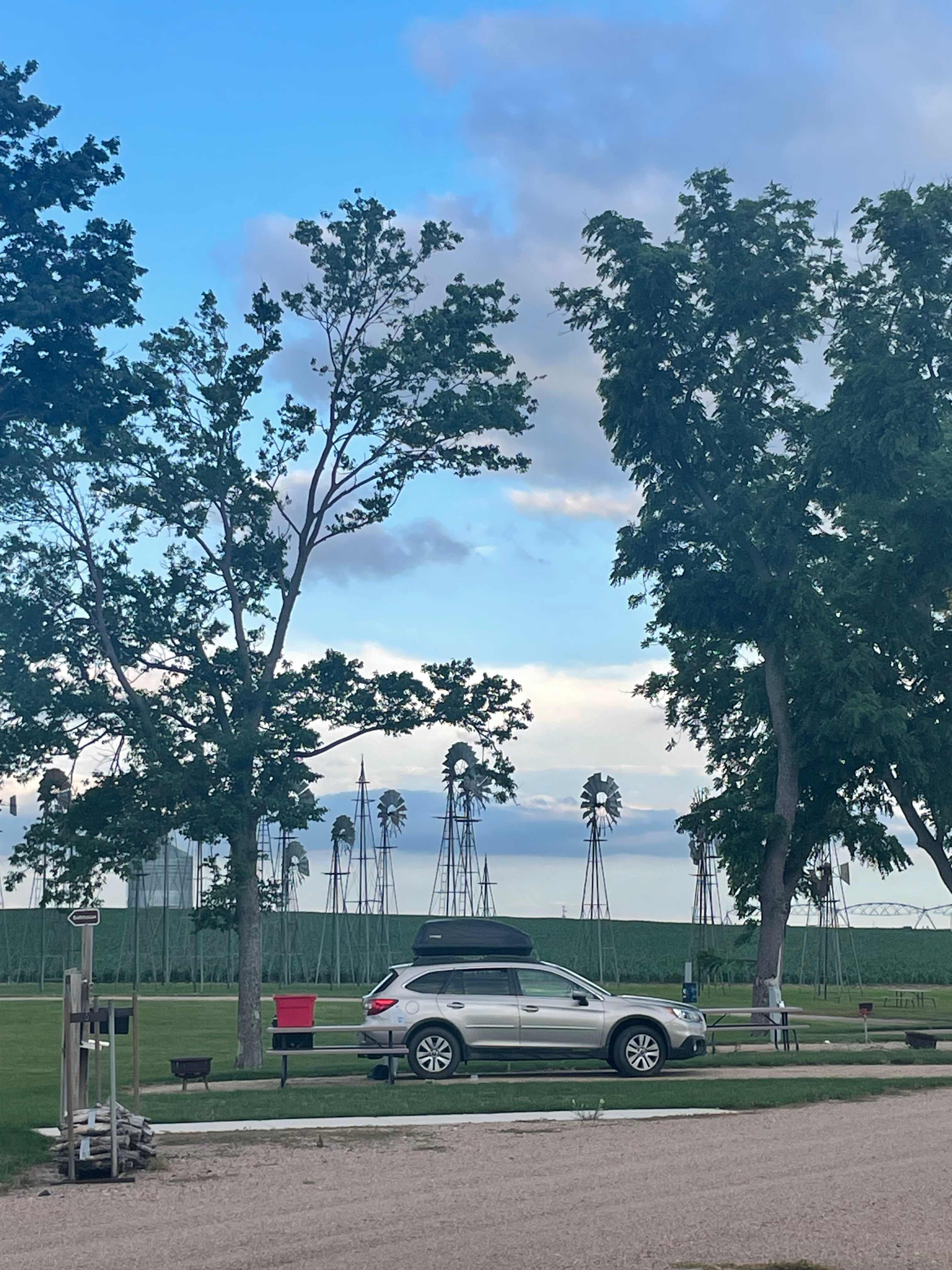 Picture of the site