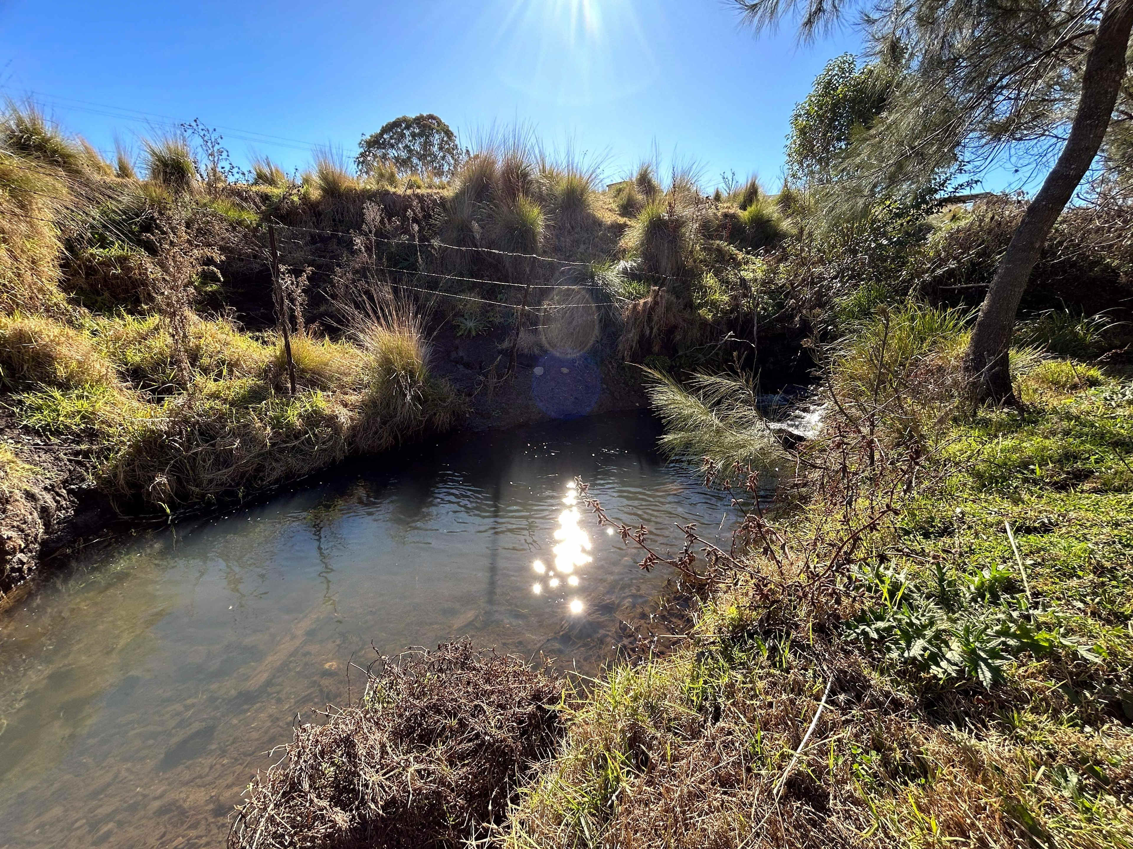 Aroona Farm