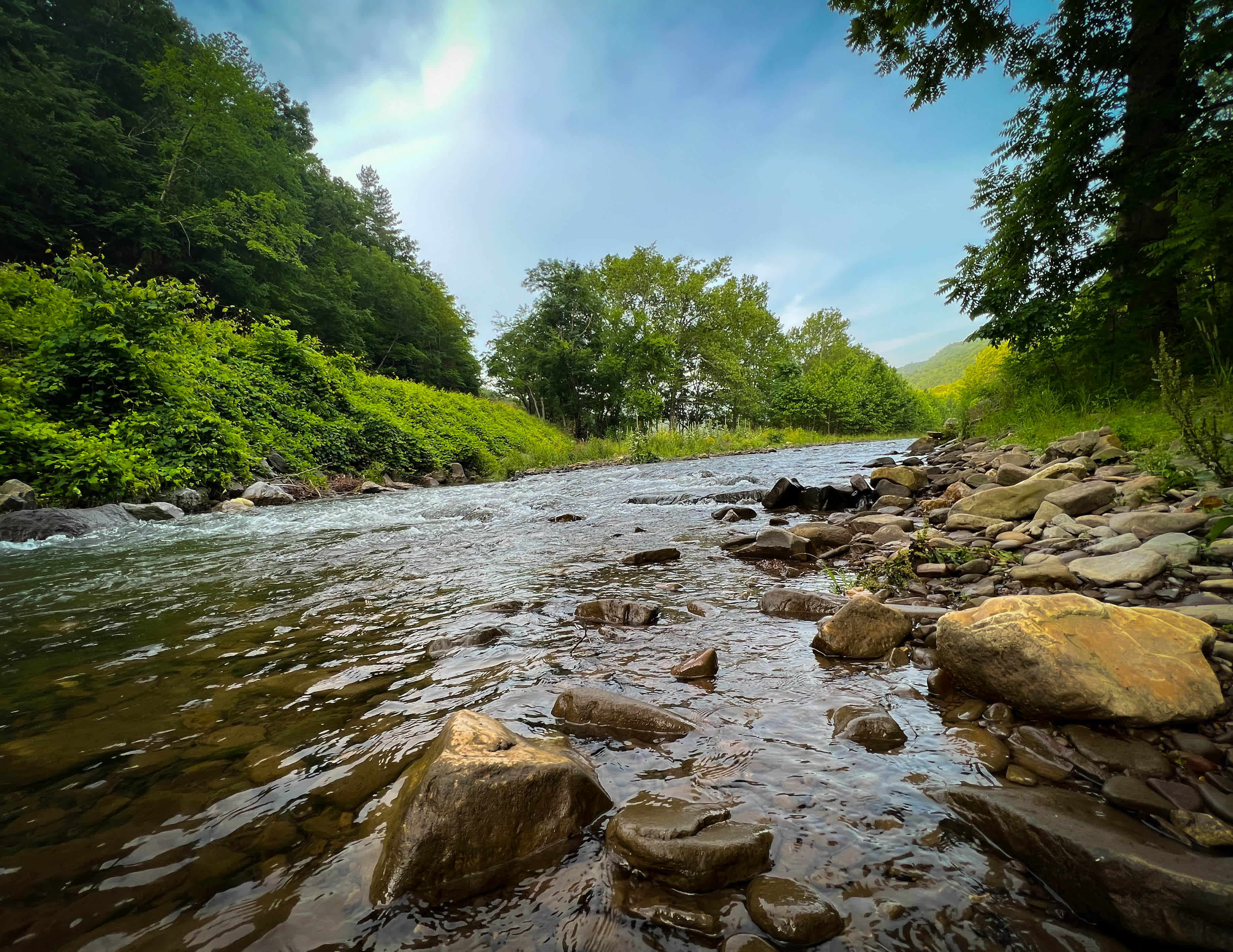 The Trout Camp