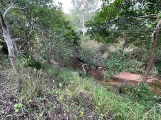 Mount Elliot Park